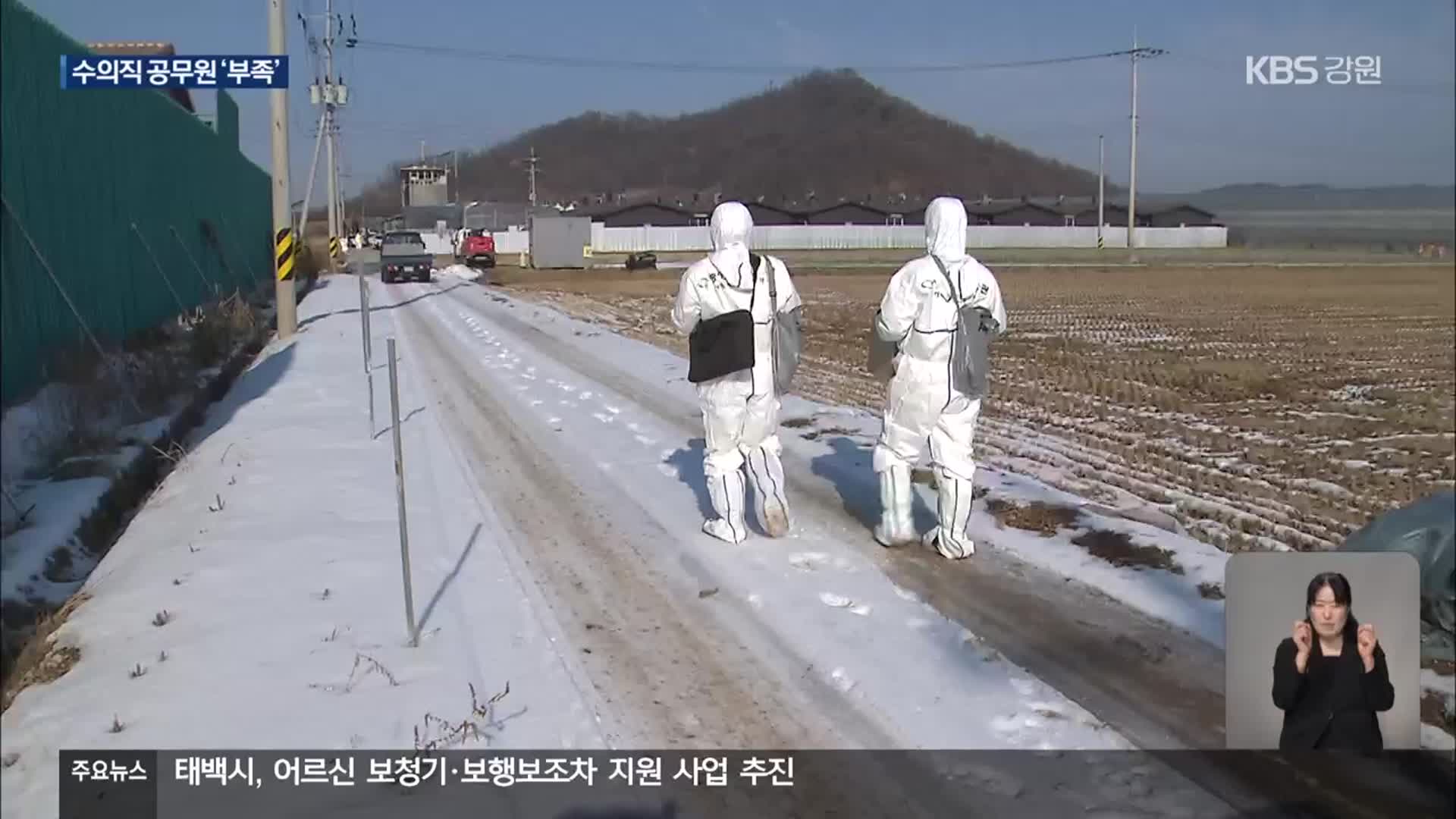 ‘구제역·ASF’ 이어지는데… 수의직 공무원 ‘만성 부족’