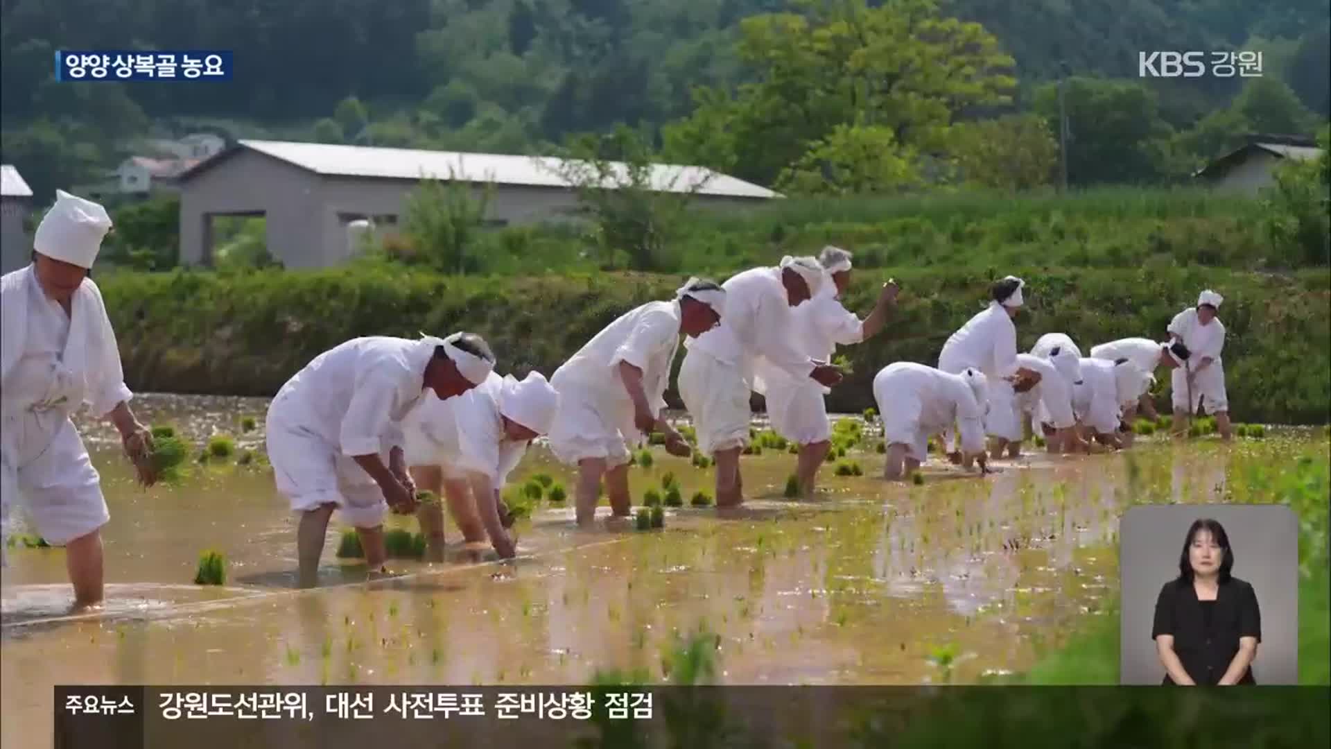다랑논에서 부르던 ‘상복골 농요’…사라질까 걱정