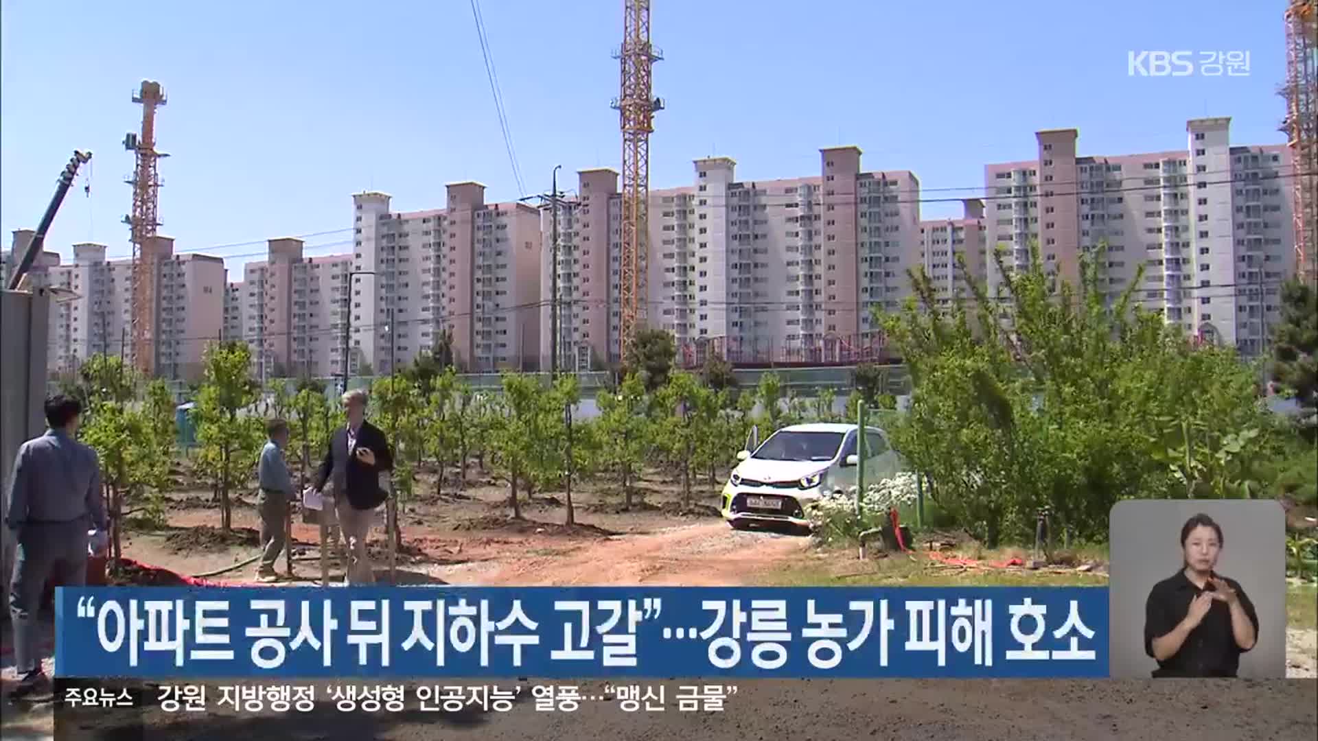 “아파트 공사 뒤 지하수 고갈”…강릉 농가 피해 호소