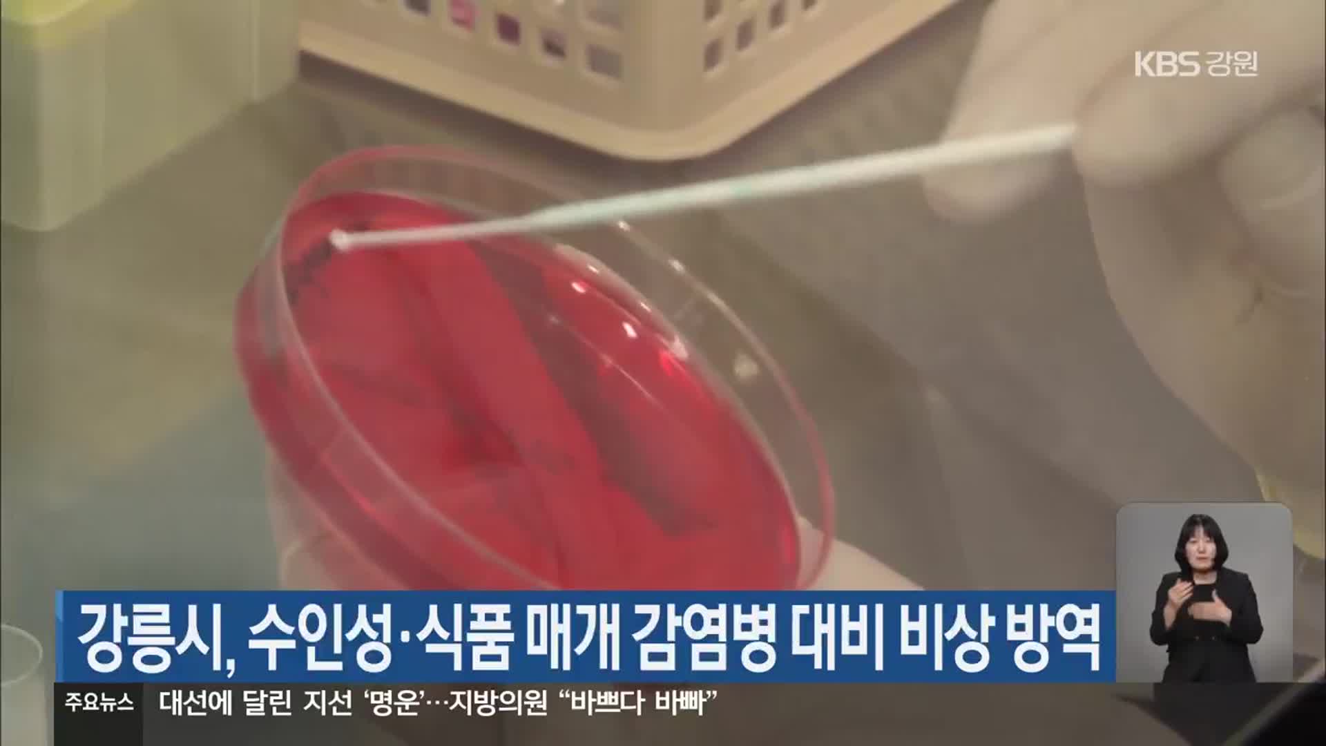 강릉시, 수인성·식품 매개 감염병 대비 비상 방역