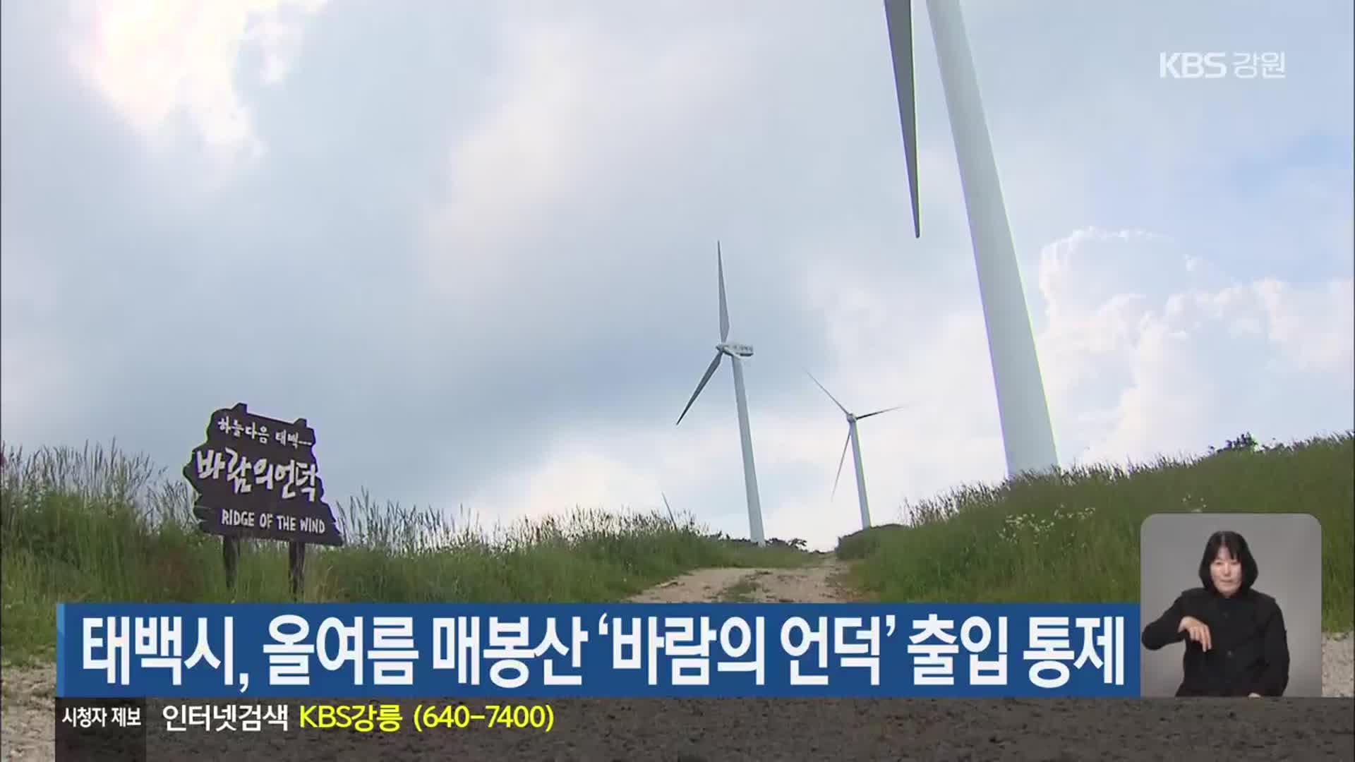 태백시, 올여름 매봉산 ‘바람의 언덕’ 출입 통제