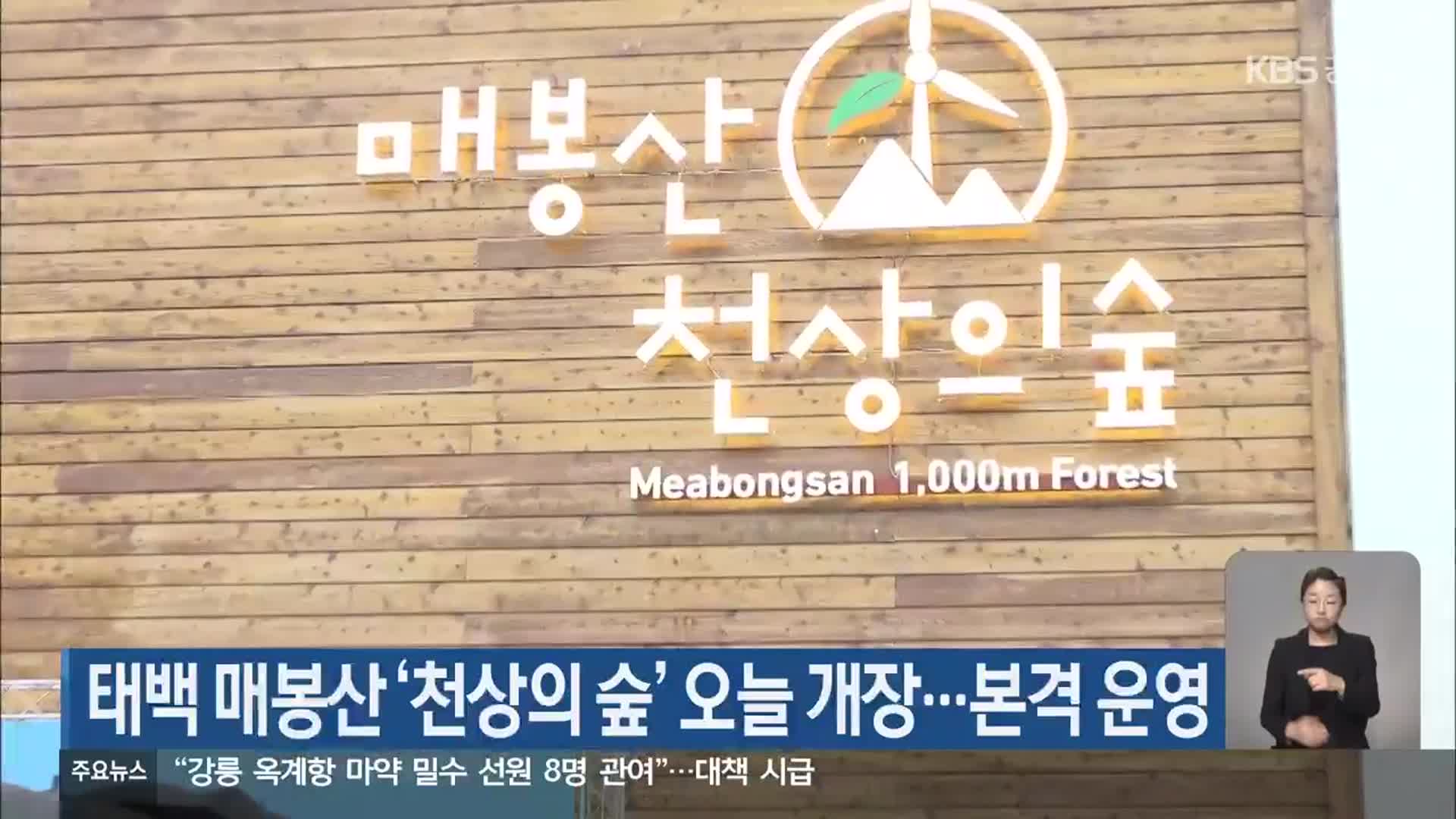 태백 매봉산 ‘천상의 숲’ 오늘 개장…본격 운영