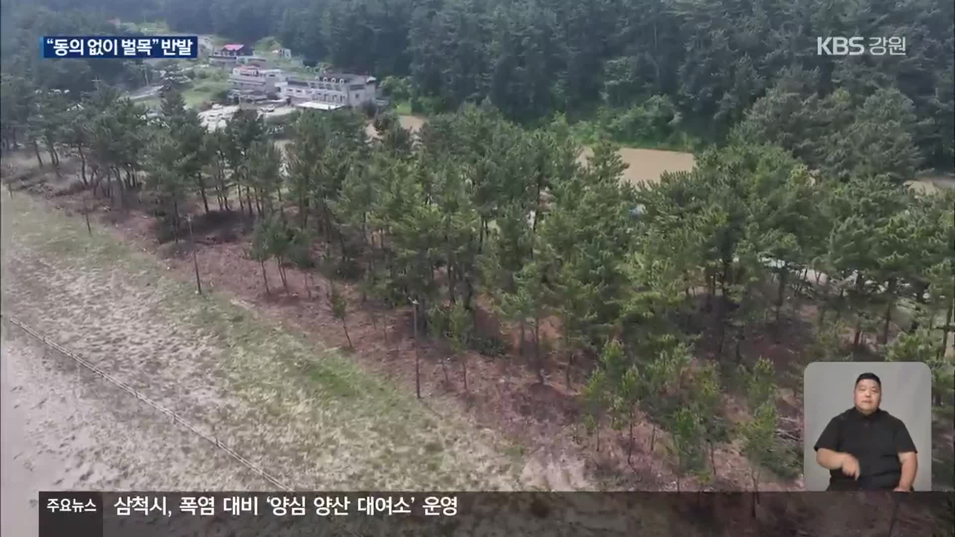 삼척 해안 숲 정비 두고 갈등…“설명 부족 인정”