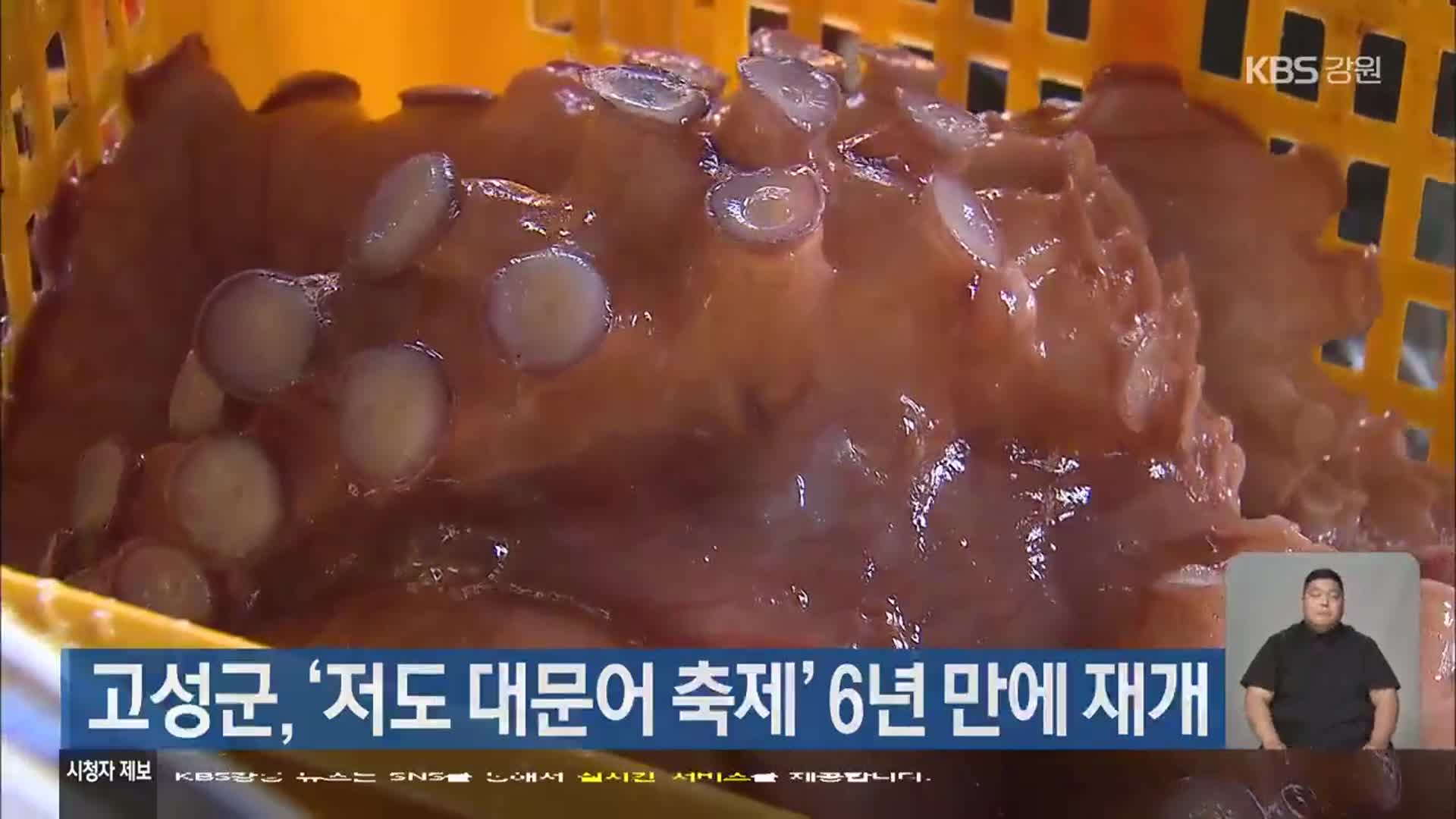 고성군, ‘저도 대문어 축제’ 6년 만에 재개