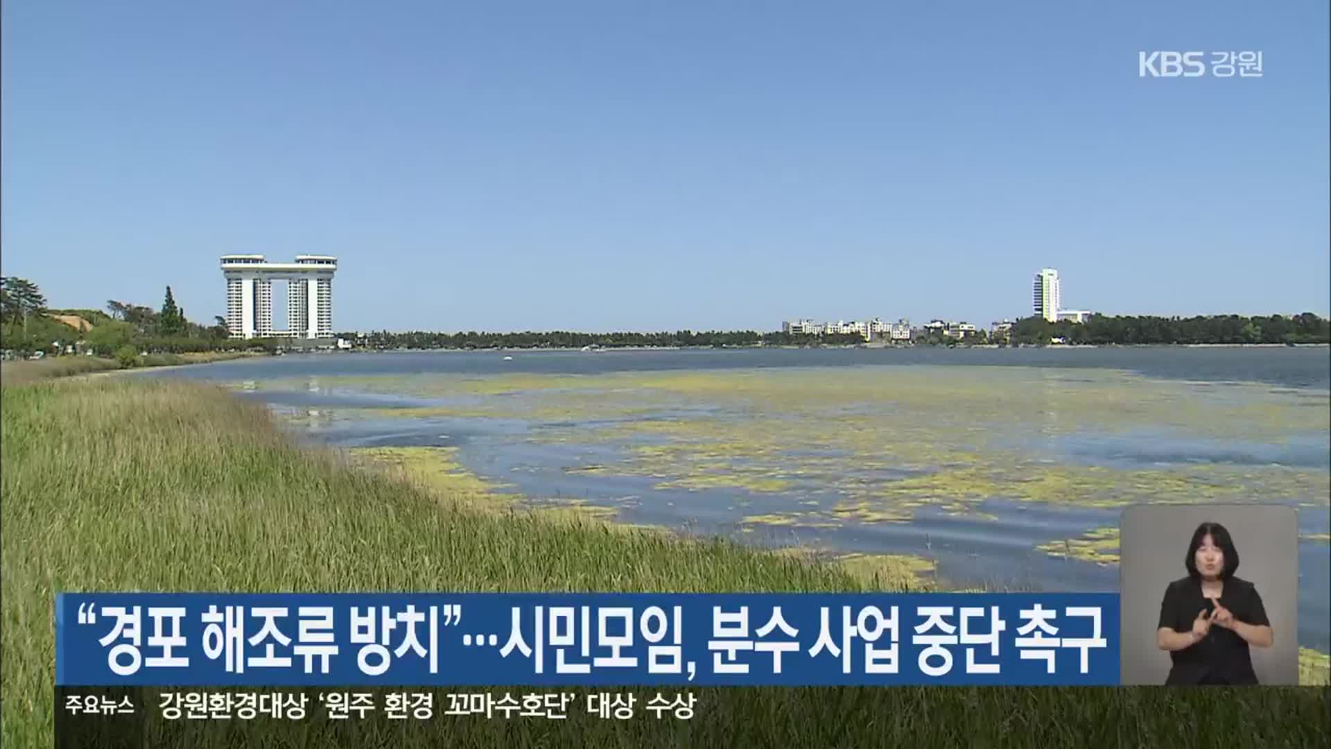 “경포 해조류 방치”…시민모임, 분수 사업 중단 촉구