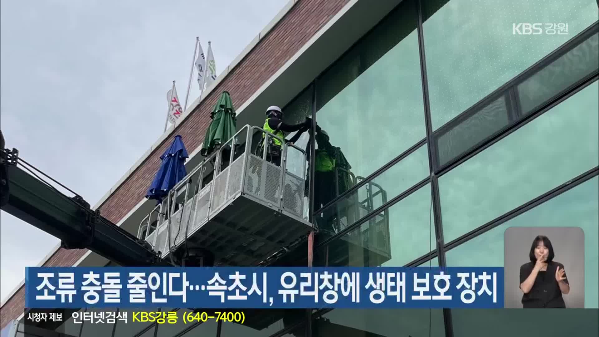 조류 충돌 줄인다…속초시, 유리창에 생태 보호 장치