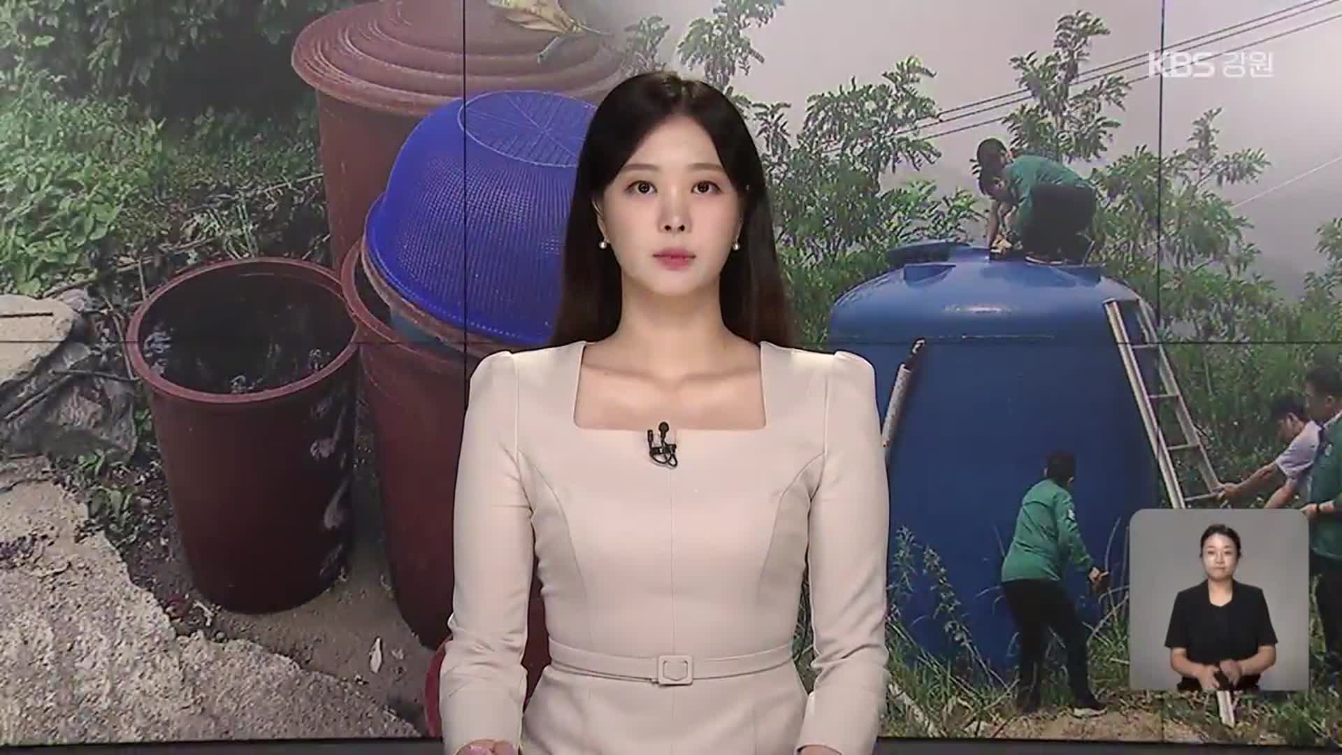 [뉴스9 강릉 오프닝]