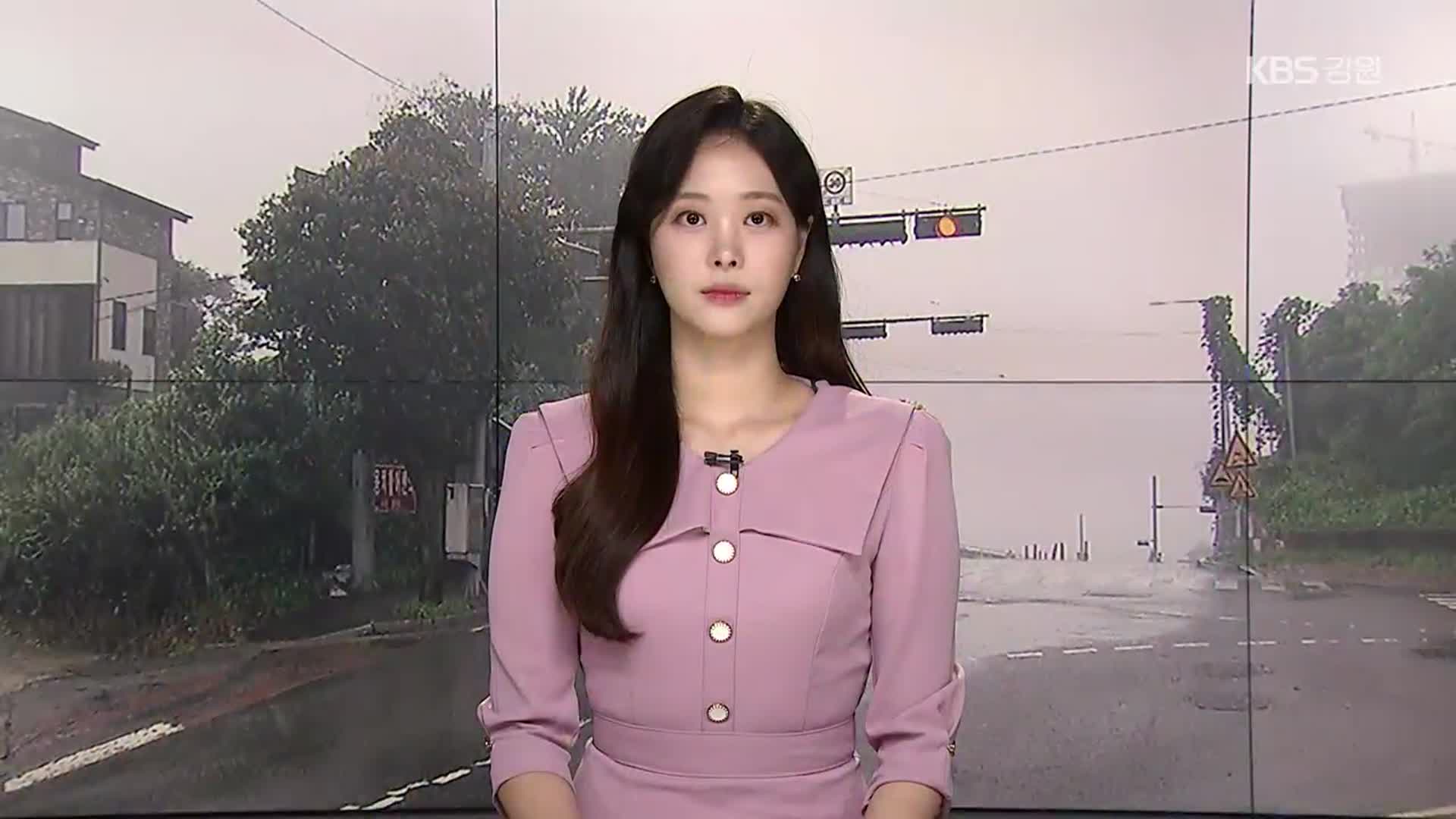 [뉴스9 강릉 오프닝]