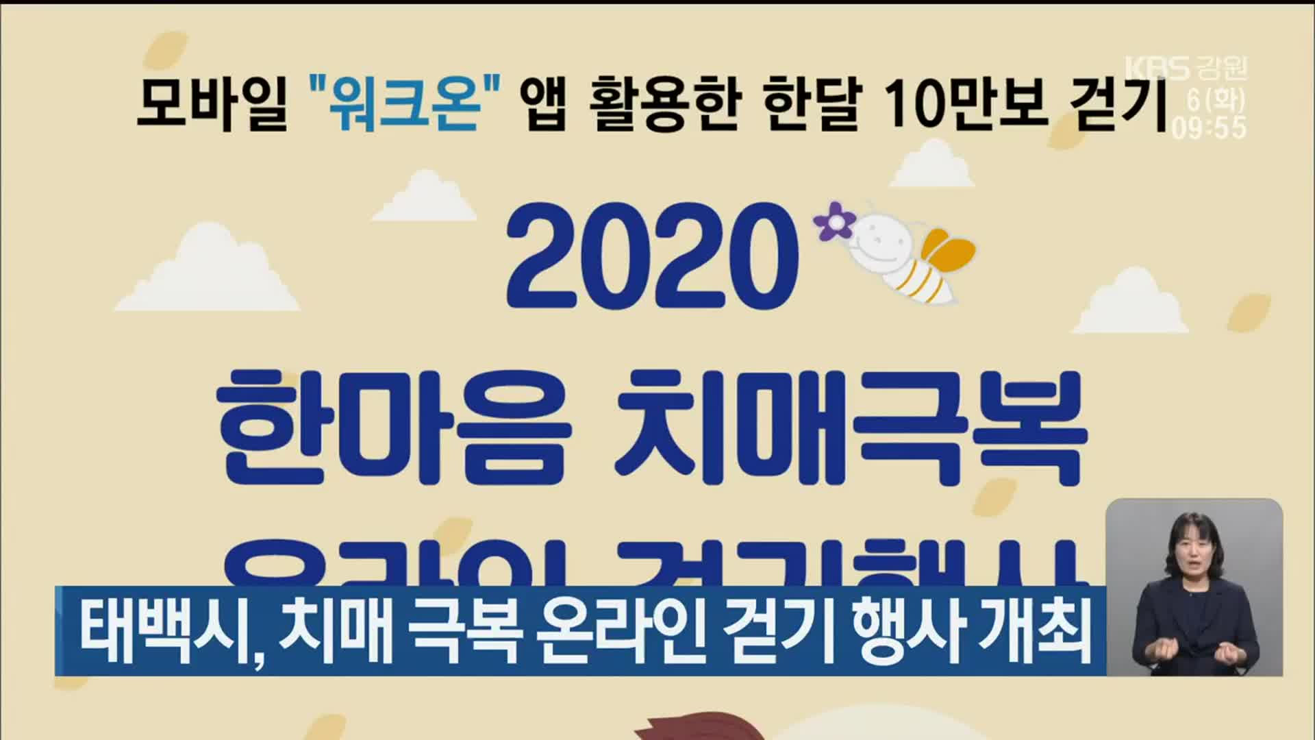 태백시, 치매 극복 온라인 걷기 행사 개최