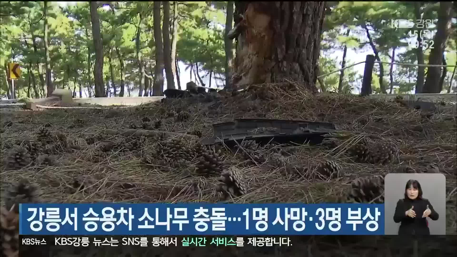강릉서 승용차 소나무 충돌…1명 사망·3명 다쳐