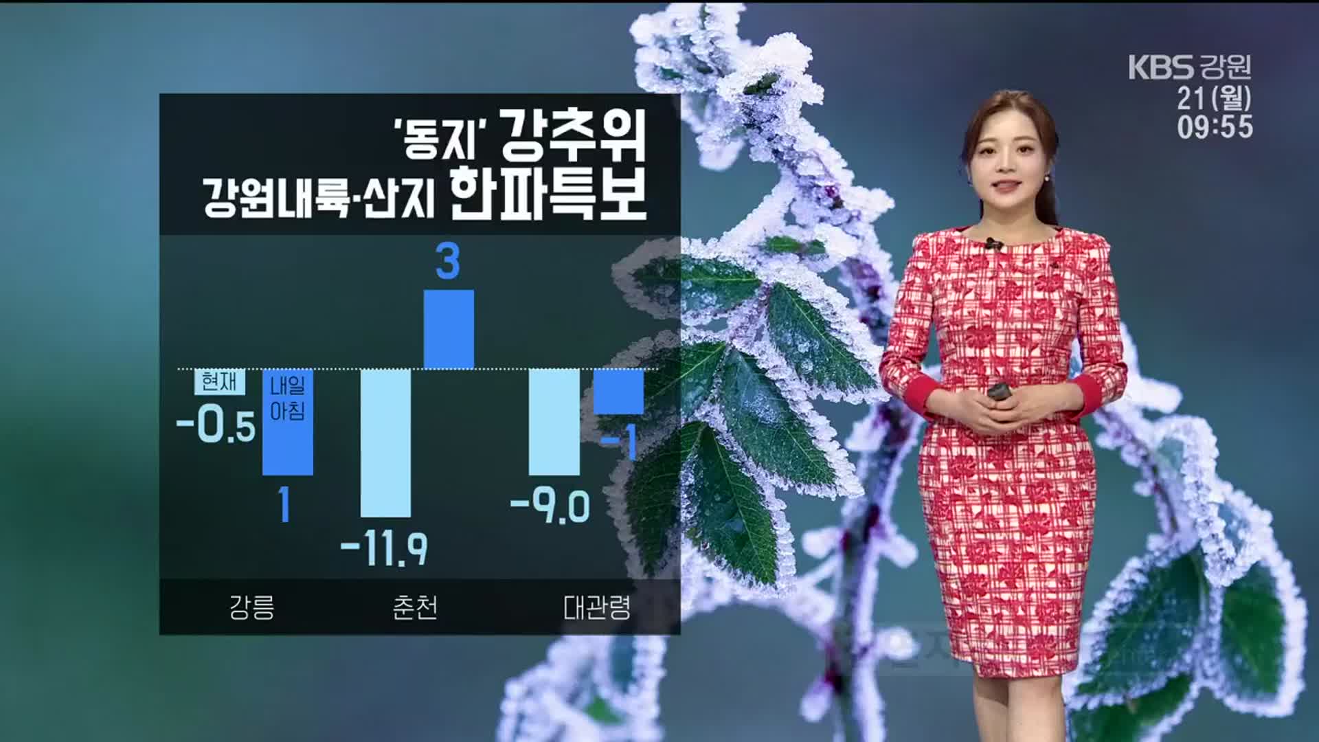 [날씨] ‘동지’ 강추위…강원내륙·산지 한파특보