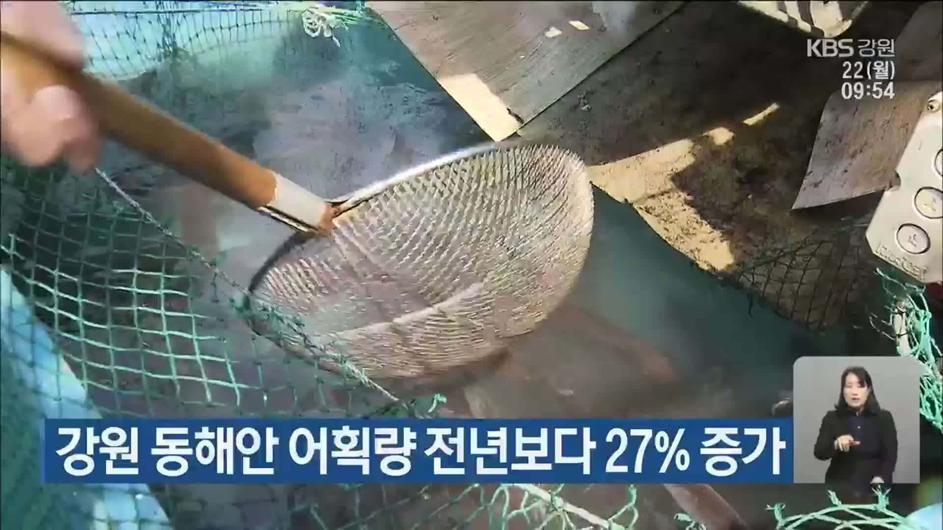 강원 동해안 어획량 전년보다 27% 증가