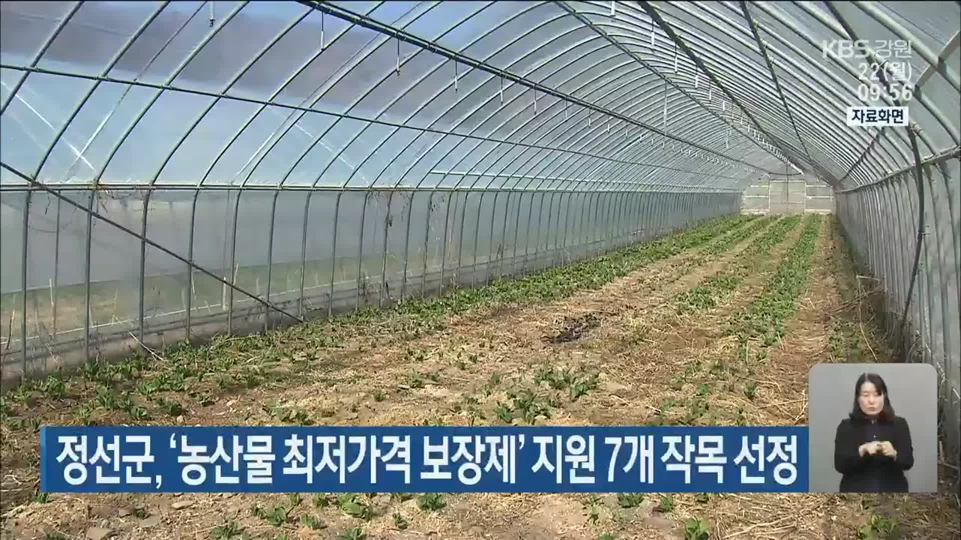 정선군, ‘농산물 최저가격 보장제’ 지원 7개 작목 선정