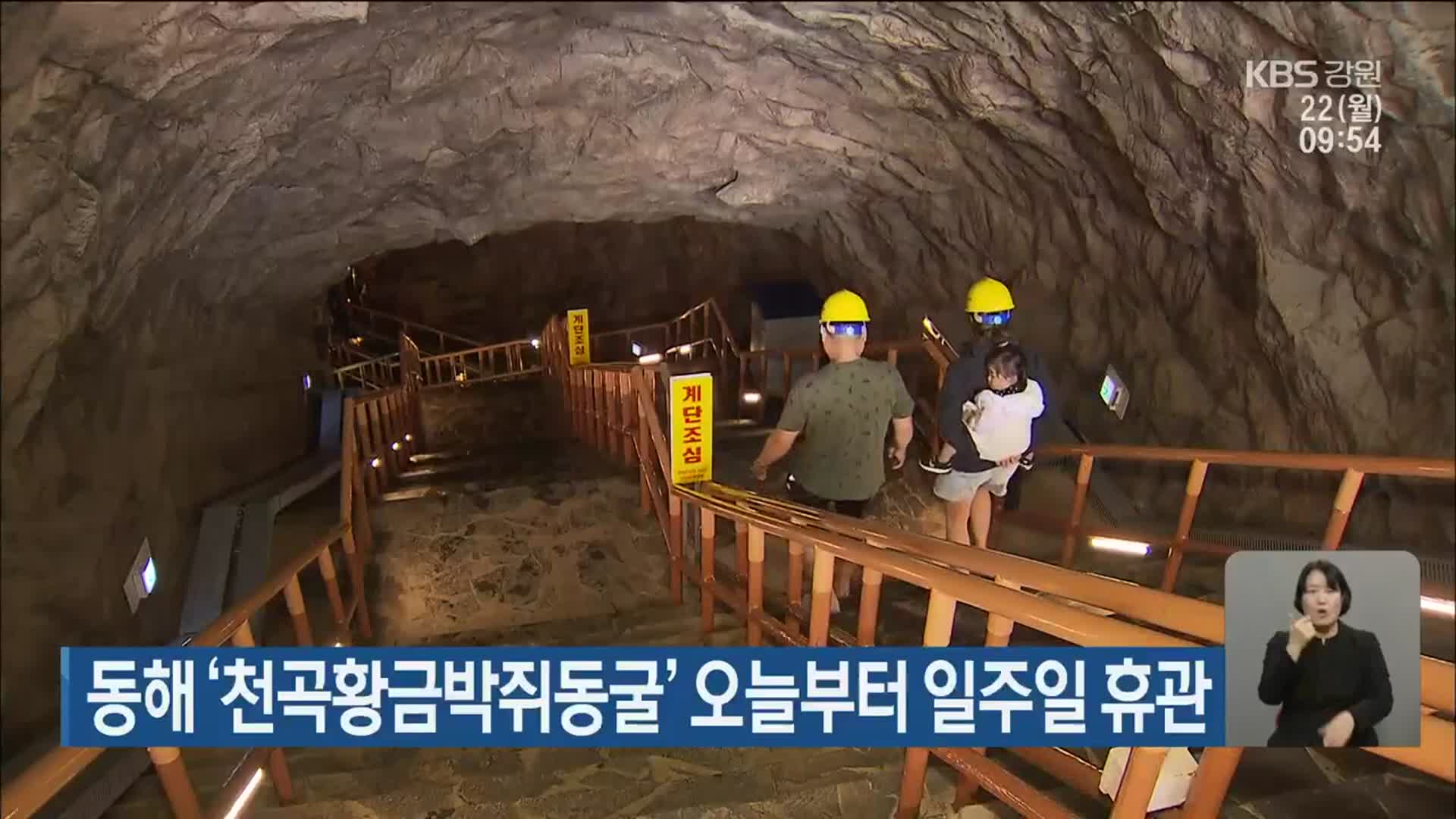 동해 ‘천곡황금박쥐동굴’ 오늘부터 일주일 휴관