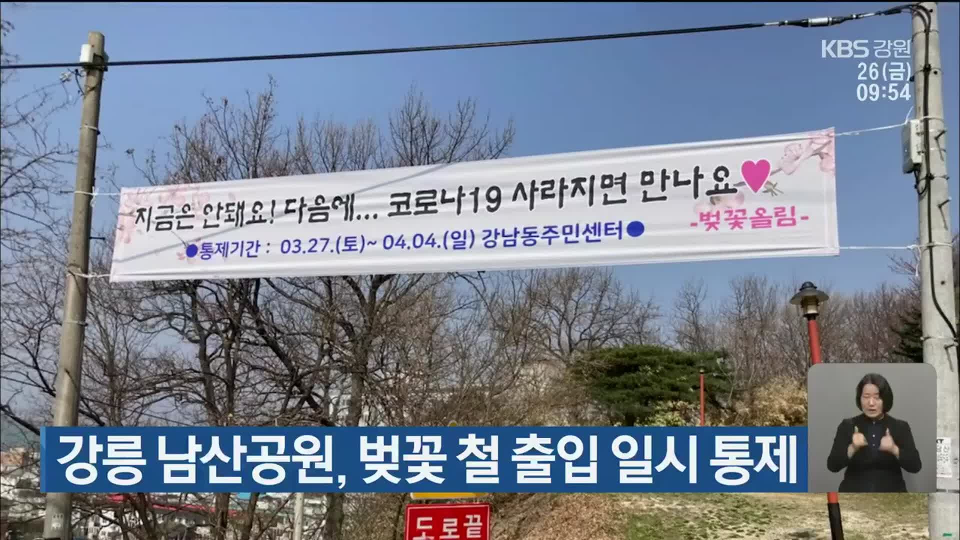 강릉 남산공원, 벚꽃 철 출입 일시 통제