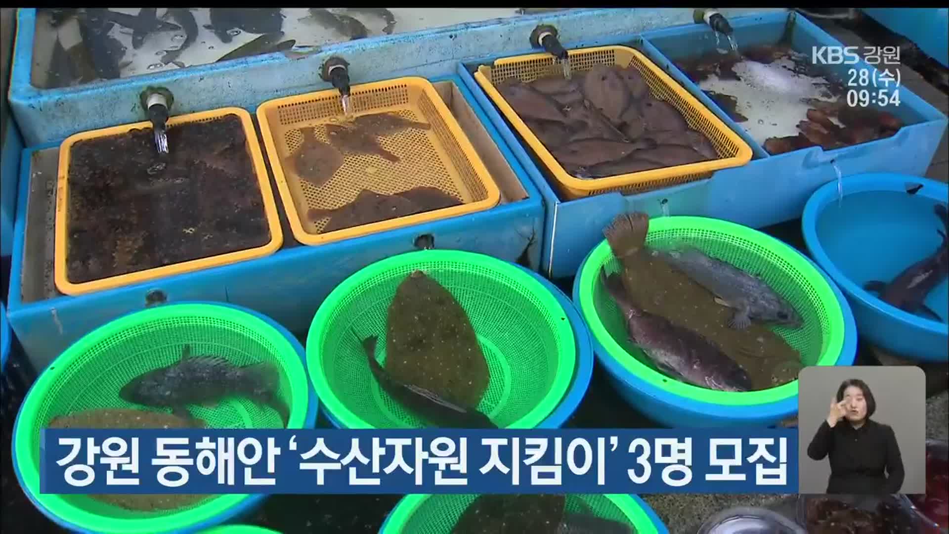 강원 동해안 ‘수산자원 지킴이’ 3명 모집