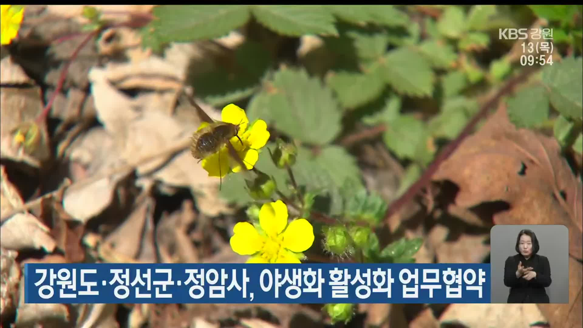 강원도·정선군·정암사, 야생화 활성화 업무협약