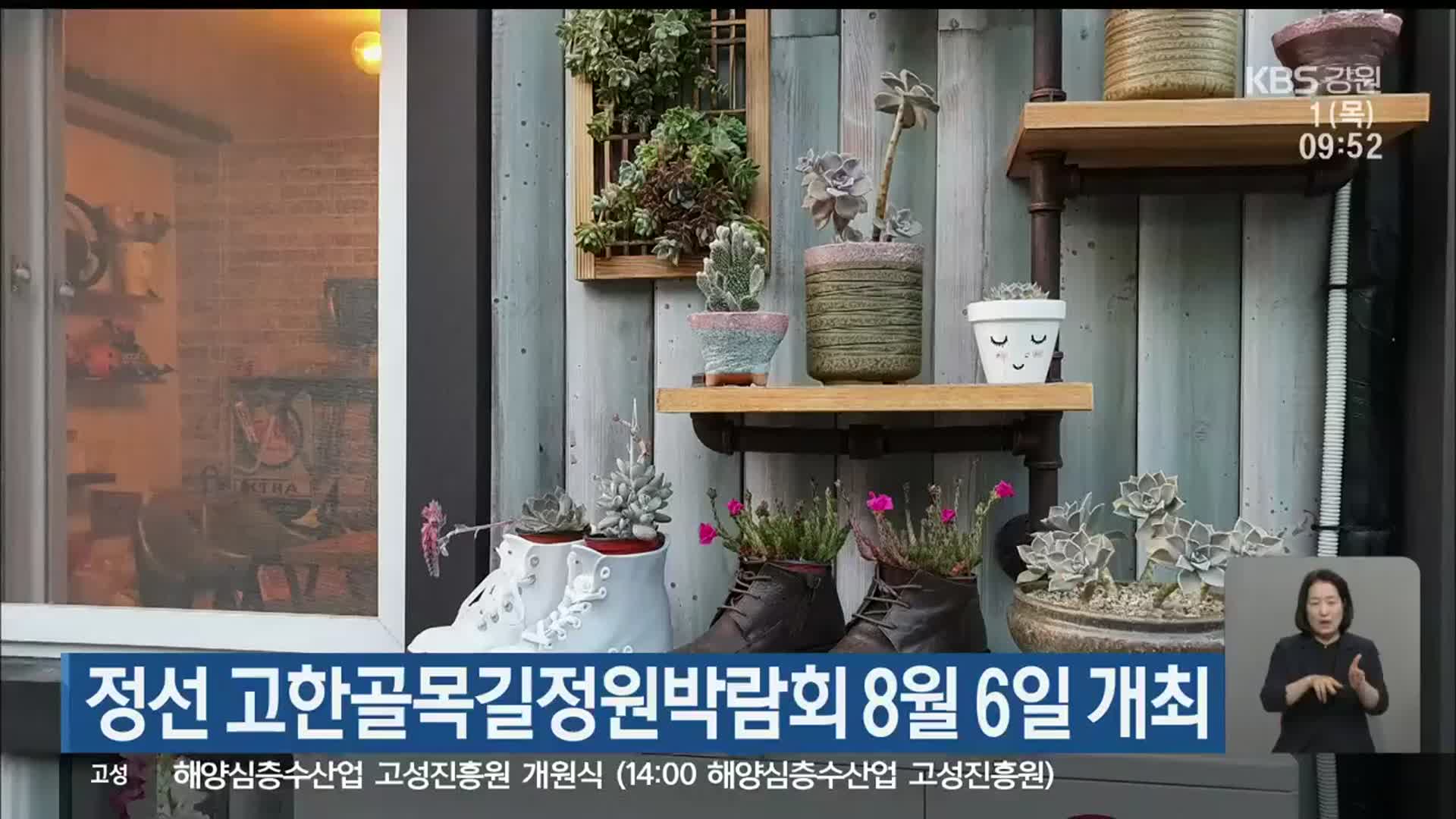 정선 고한골목길정원박람회 8월 6일 개최
