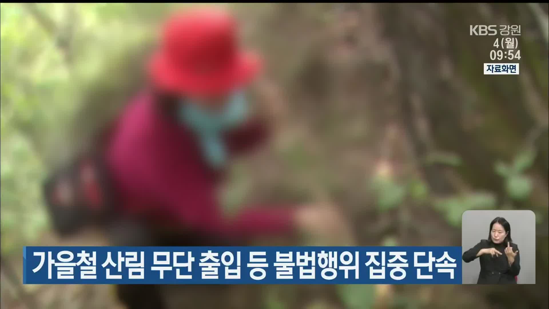 가을철 산림 무단 출입 등 불법행위 집중 단속