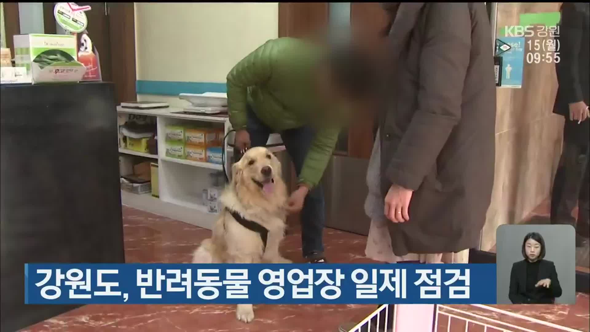 강원도, 반려동물 영업장 일제 점검