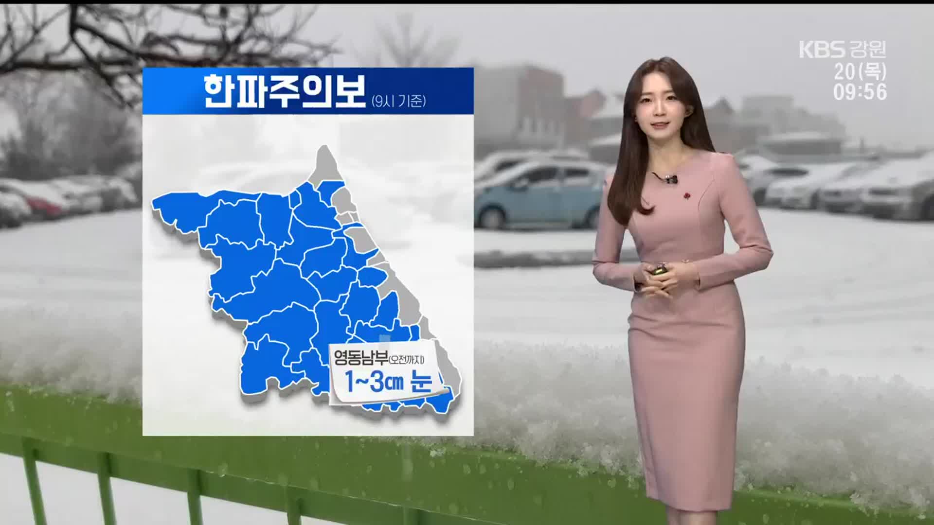 [날씨] 영동 남부 오전까지 1~3cm 눈…강릉 누적 적설량 8cm