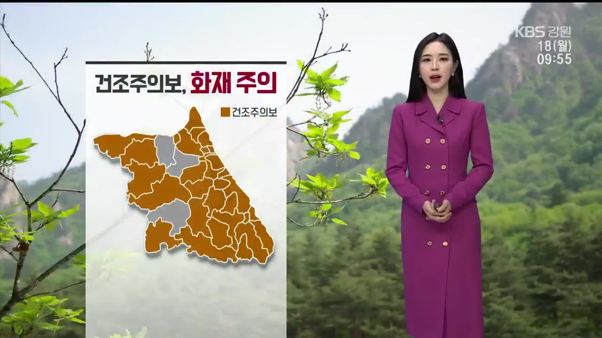 [날씨] 강원 곳곳 건조주의보 ‘화재 주의’…강릉 낮 최고 24도