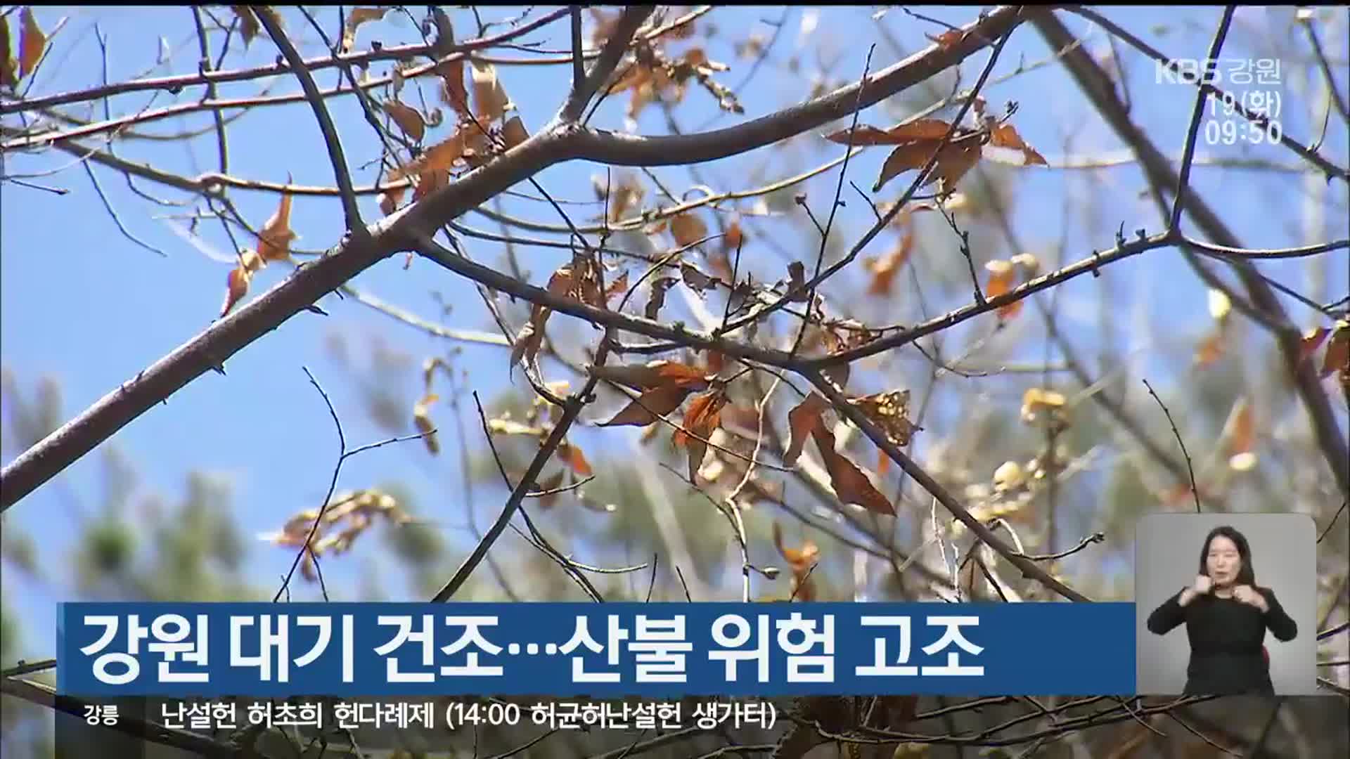 강원 대기 건조…산불 위험 고조