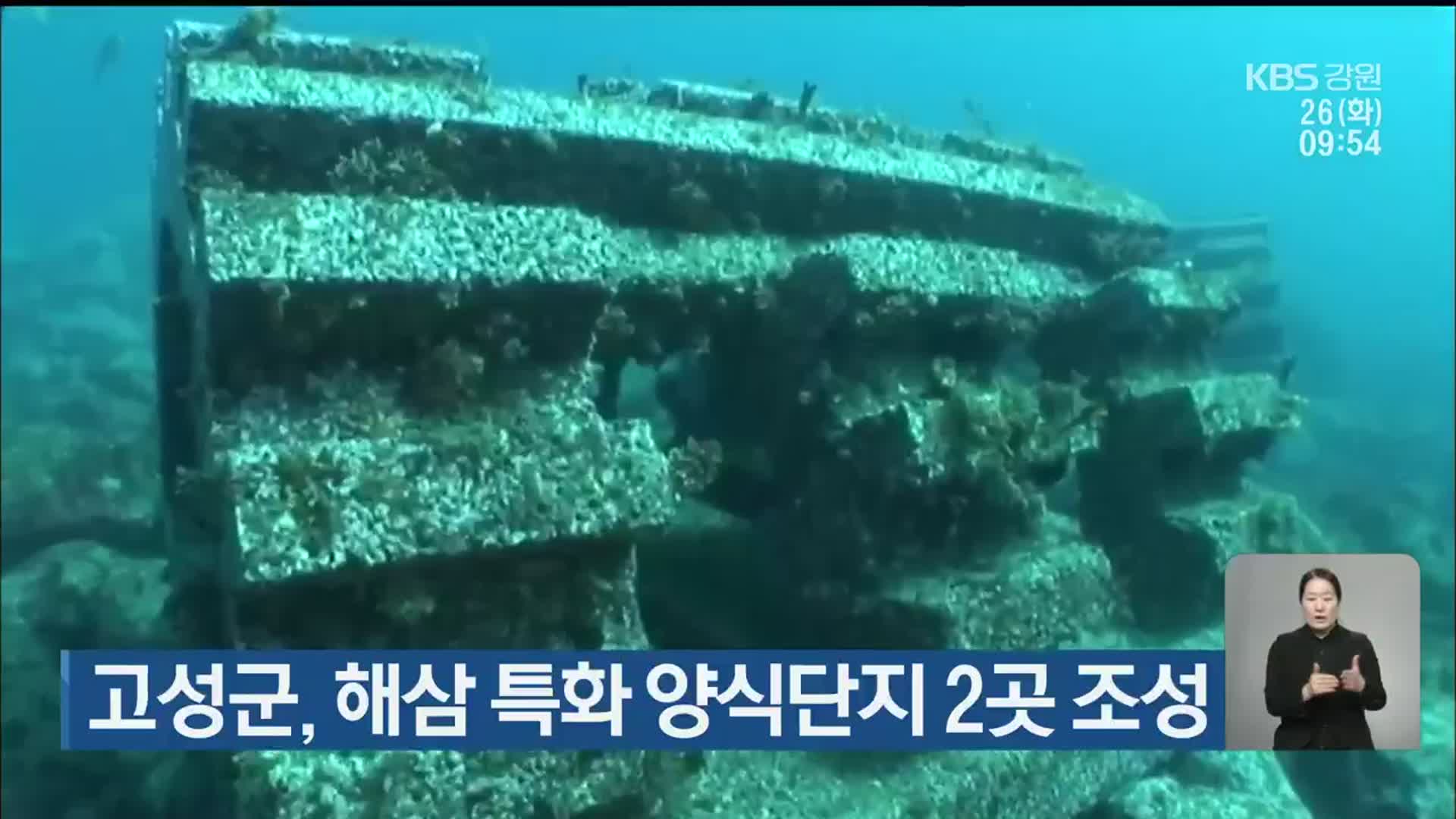 고성군, 해삼 특화 양식단지 2곳 조성