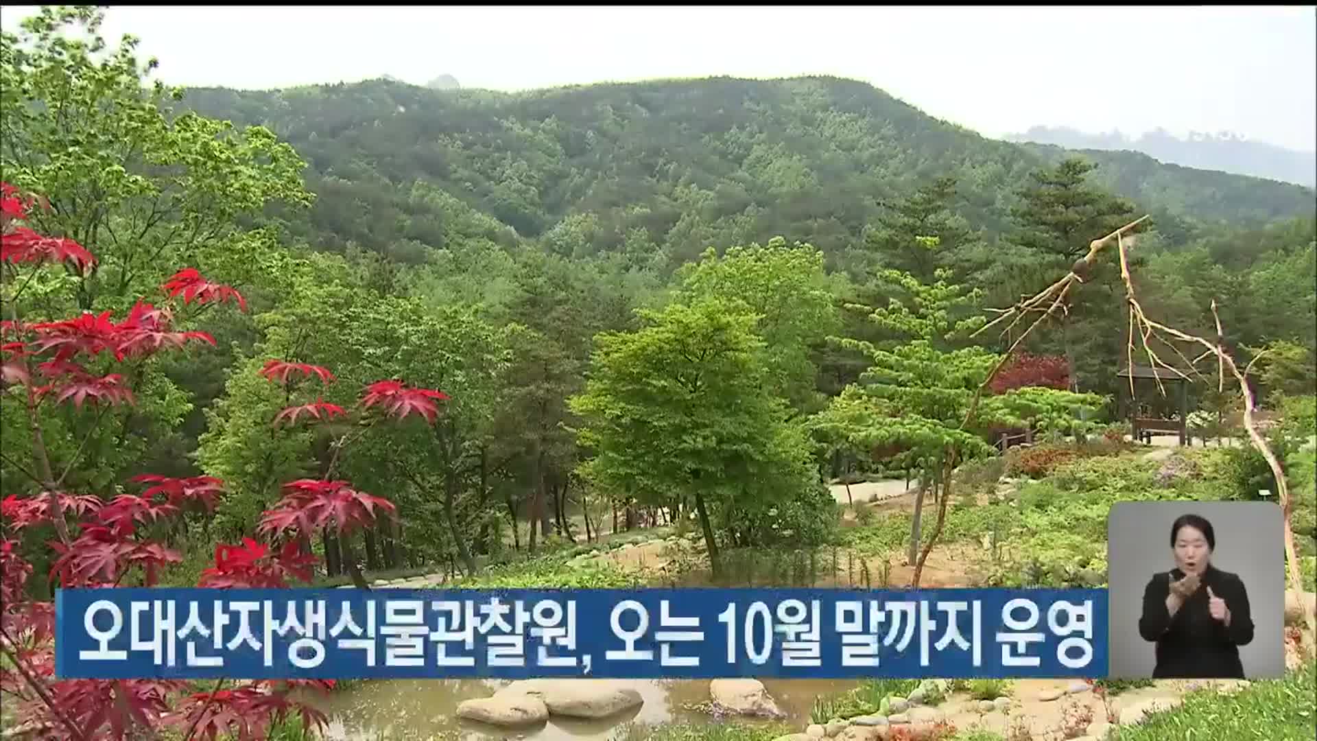 오대산자생식물관찰원, 오는 10월 말까지 운영