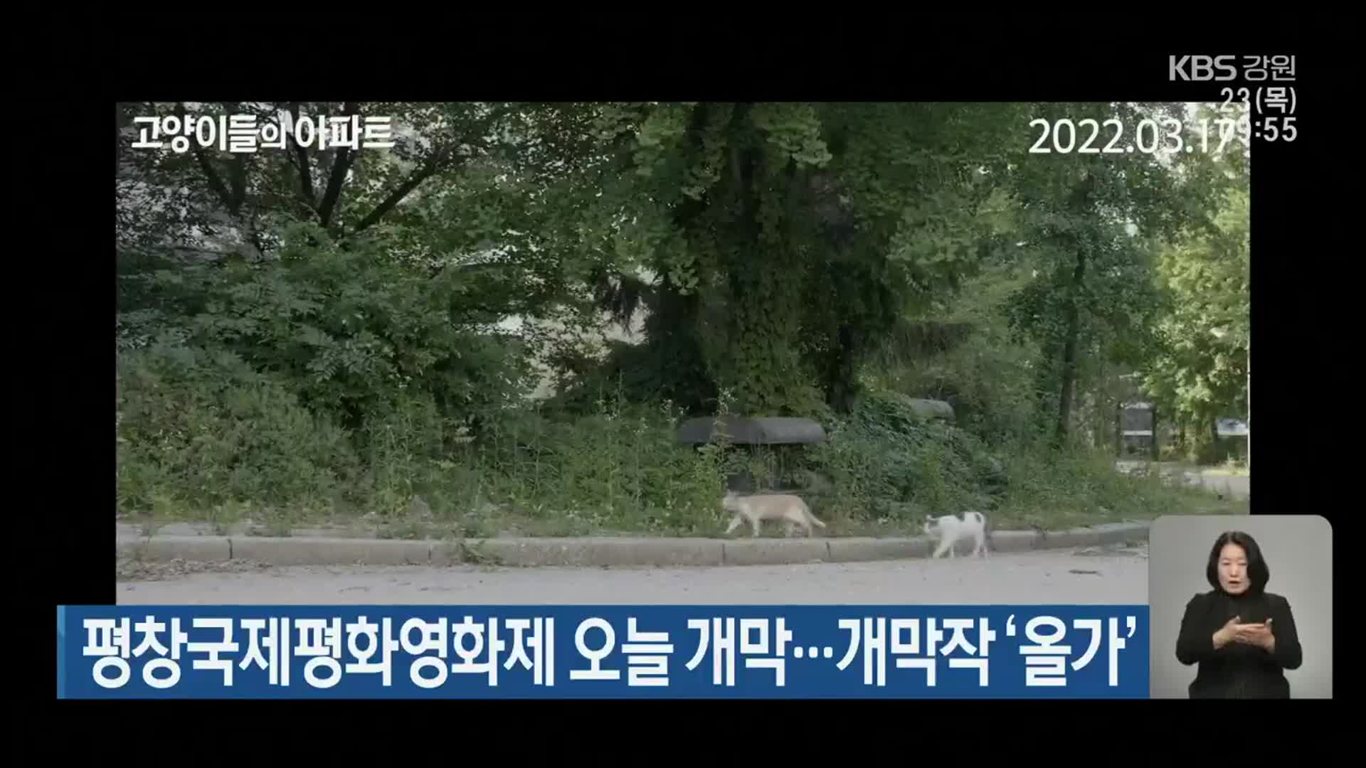 평창국제평화영화제 오늘 개막…개막작 ‘올가’