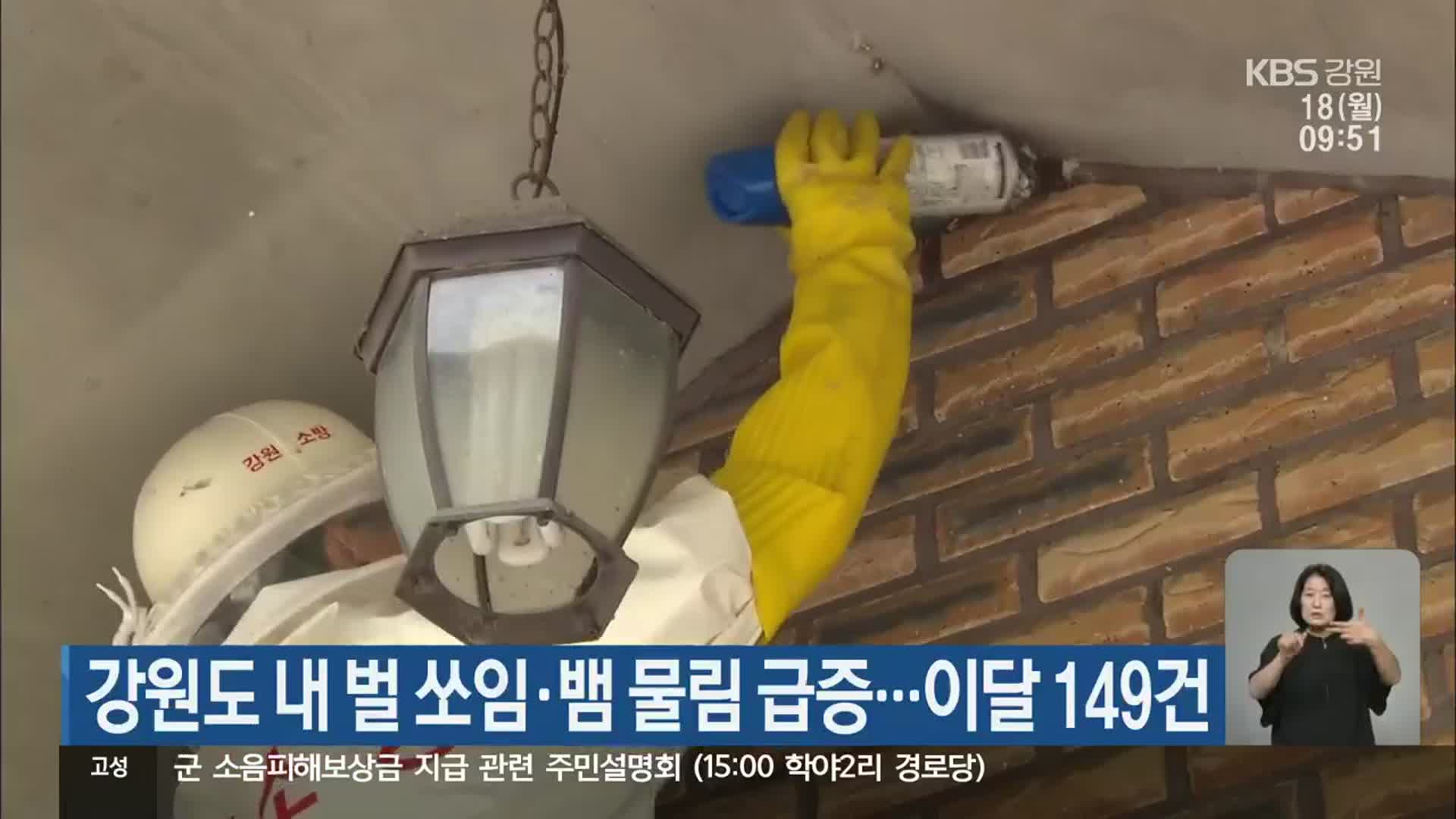 강원도 내 벌 쏘임·뱀 물림 급증…이달 149건