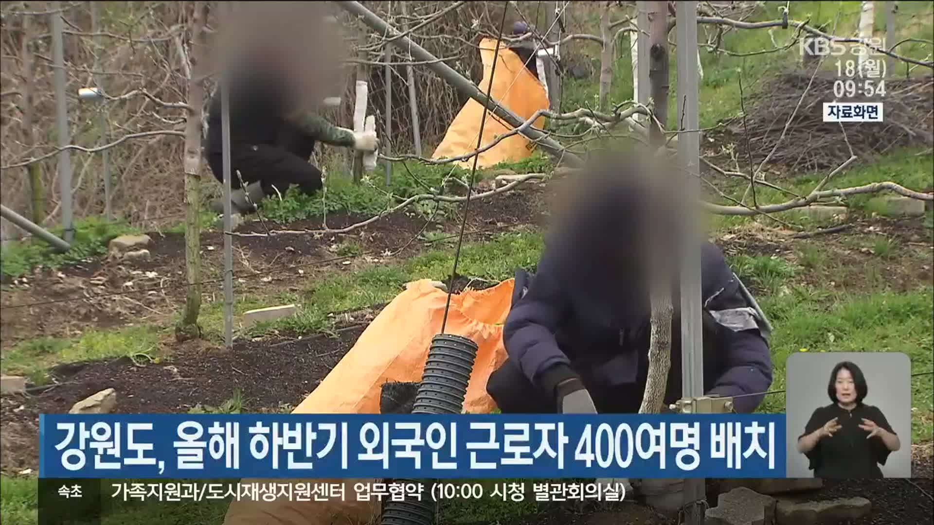 강원도, 올해 하반기 외국인 근로자 400여명 배치