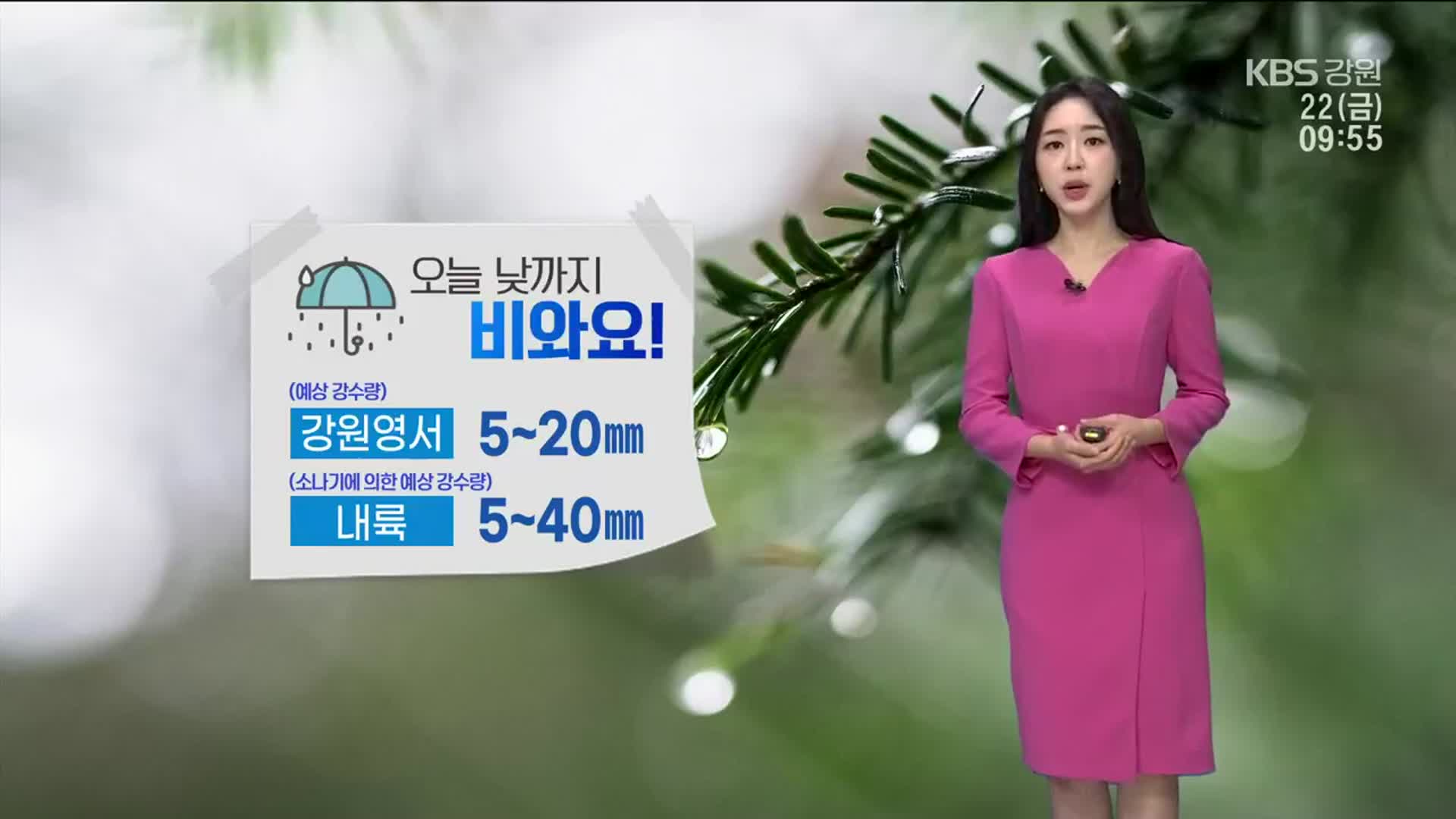 [날씨] 강원 영동 낮까지 비…곳곳 안개 ‘교통 안전’ 유의