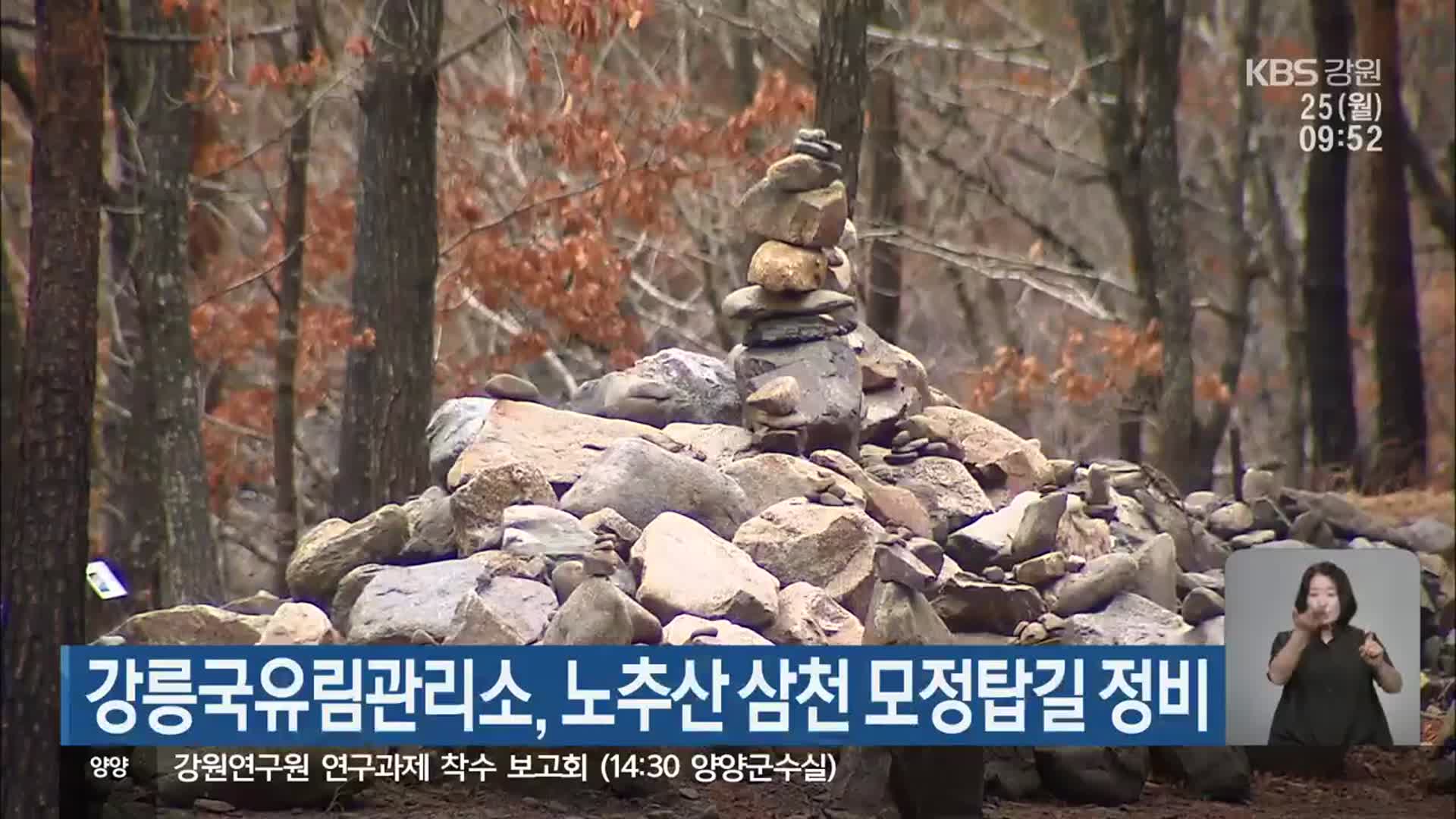 강릉국유림관리소, 노추산 삼천 모정탑길 정비