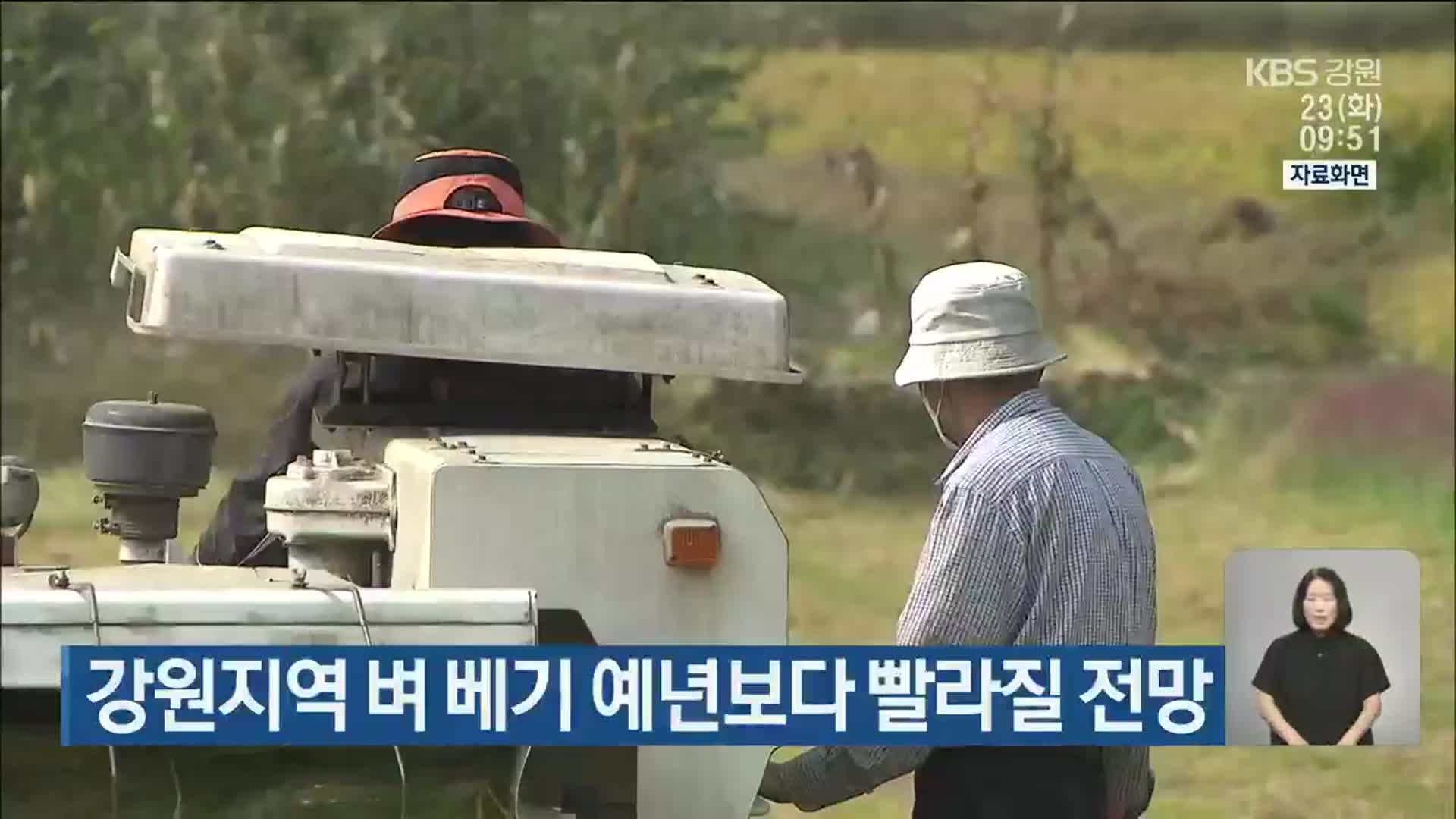 강원지역 벼 베기 예년보다 빨라질 전망