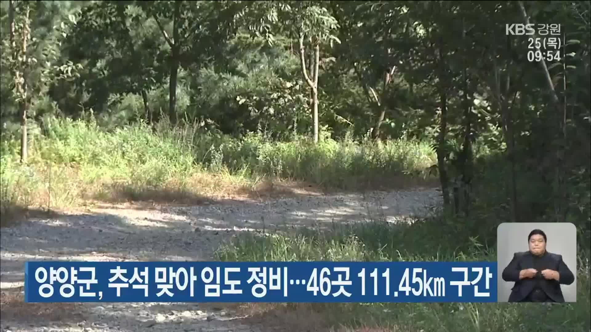 양양군, 추석 맞아 임도 정비…46곳 111.45km 구간