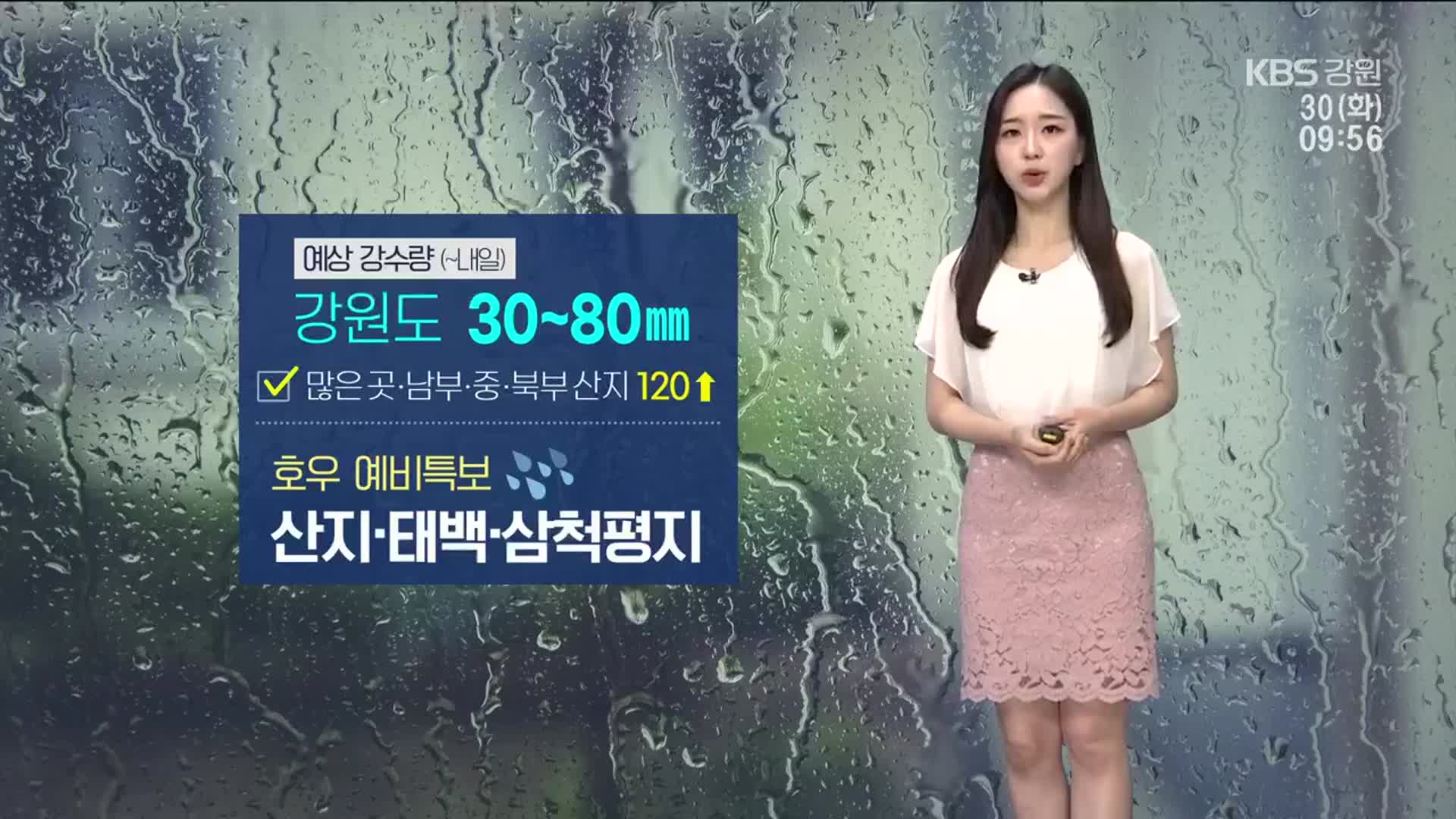 [날씨] 강원도 내일까지 30~80mm 비…산지·태백·삼척평지 호우 예비특보
