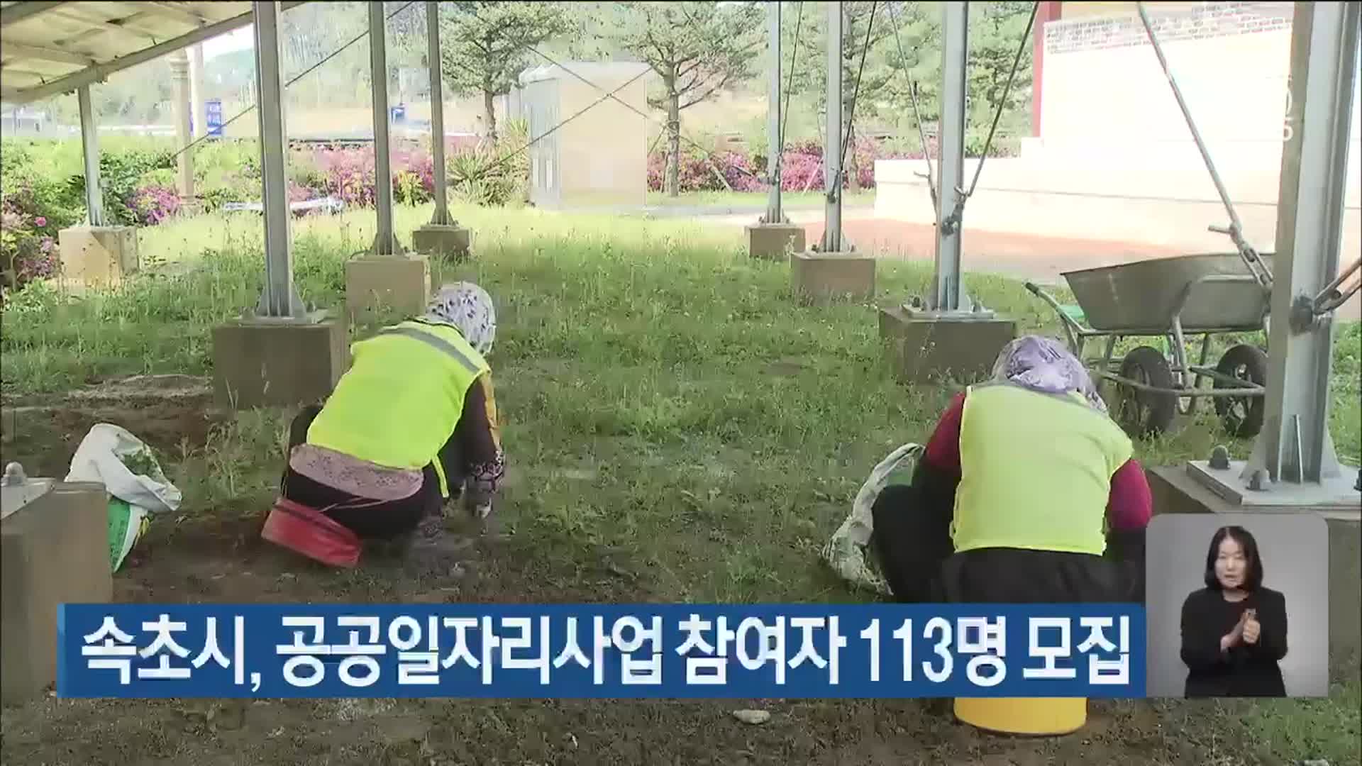 속초시, 공공일자리사업 참여자 113명 모집