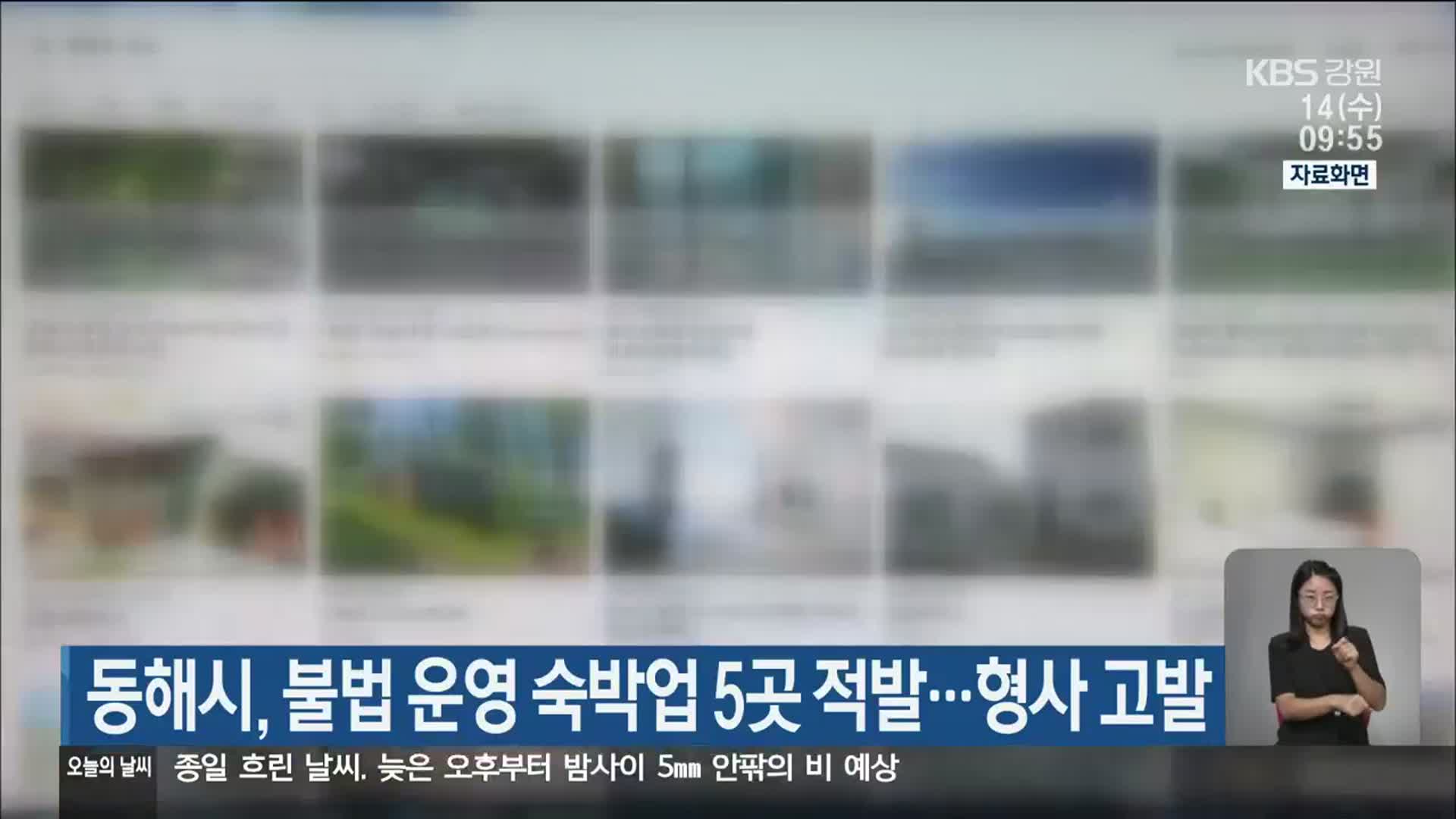 동해시, 불법 운영 숙박업 5곳 적발…형사 고발