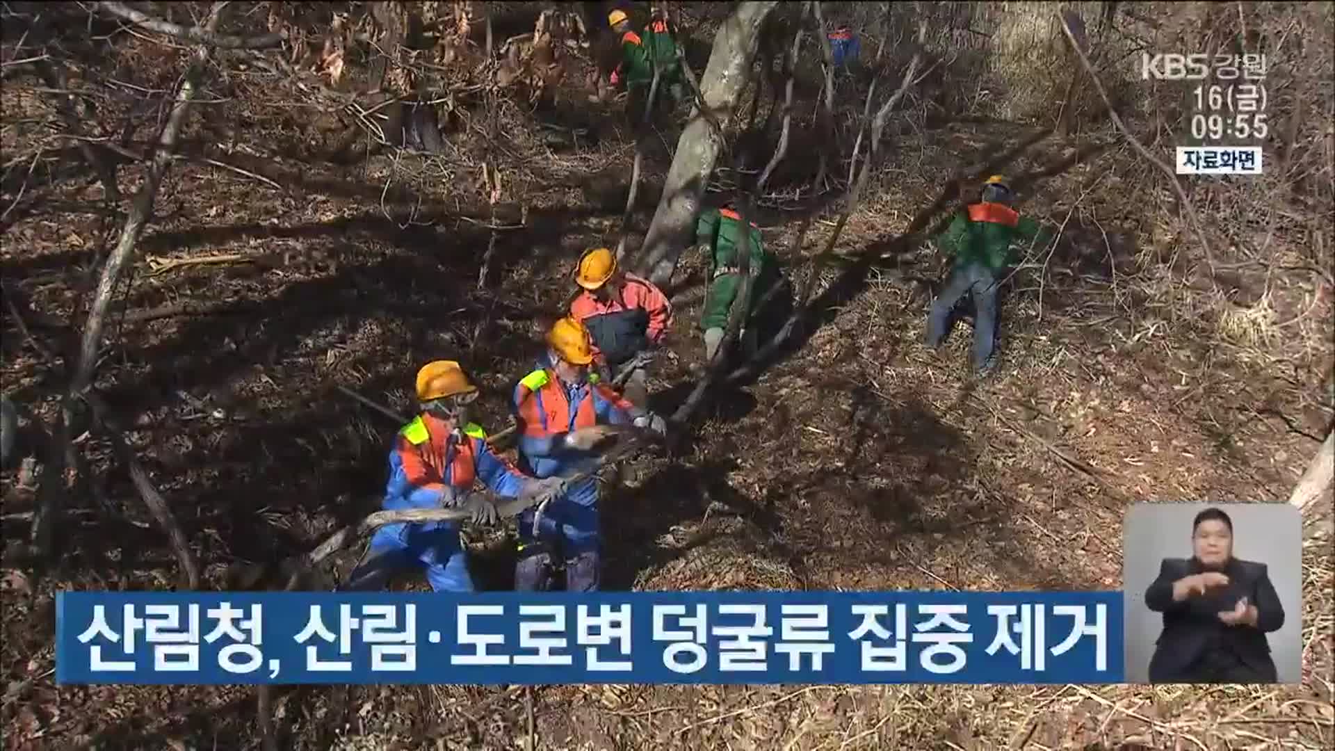 산림청, 산림·도로변 덩굴류 집중 제거