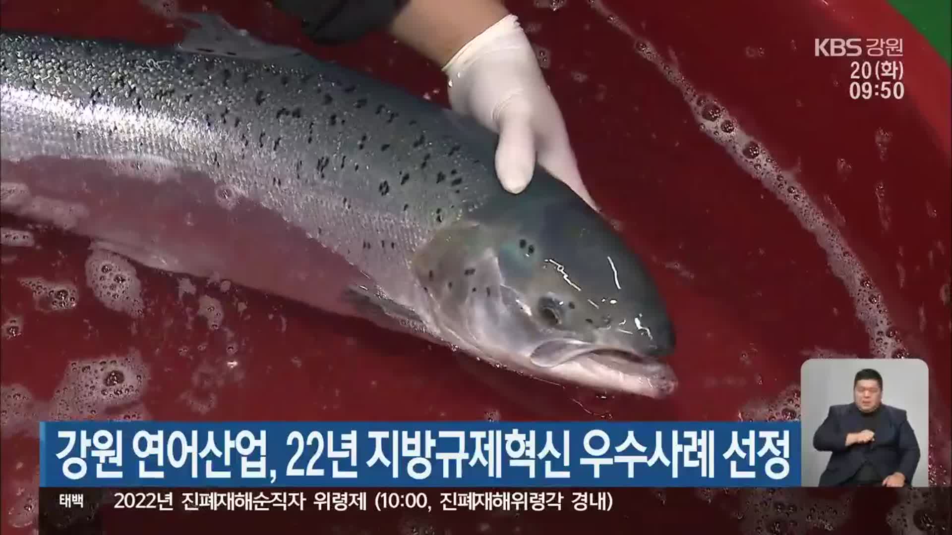 강원 연어산업, 22년 지방규제혁신 우수사례 선정