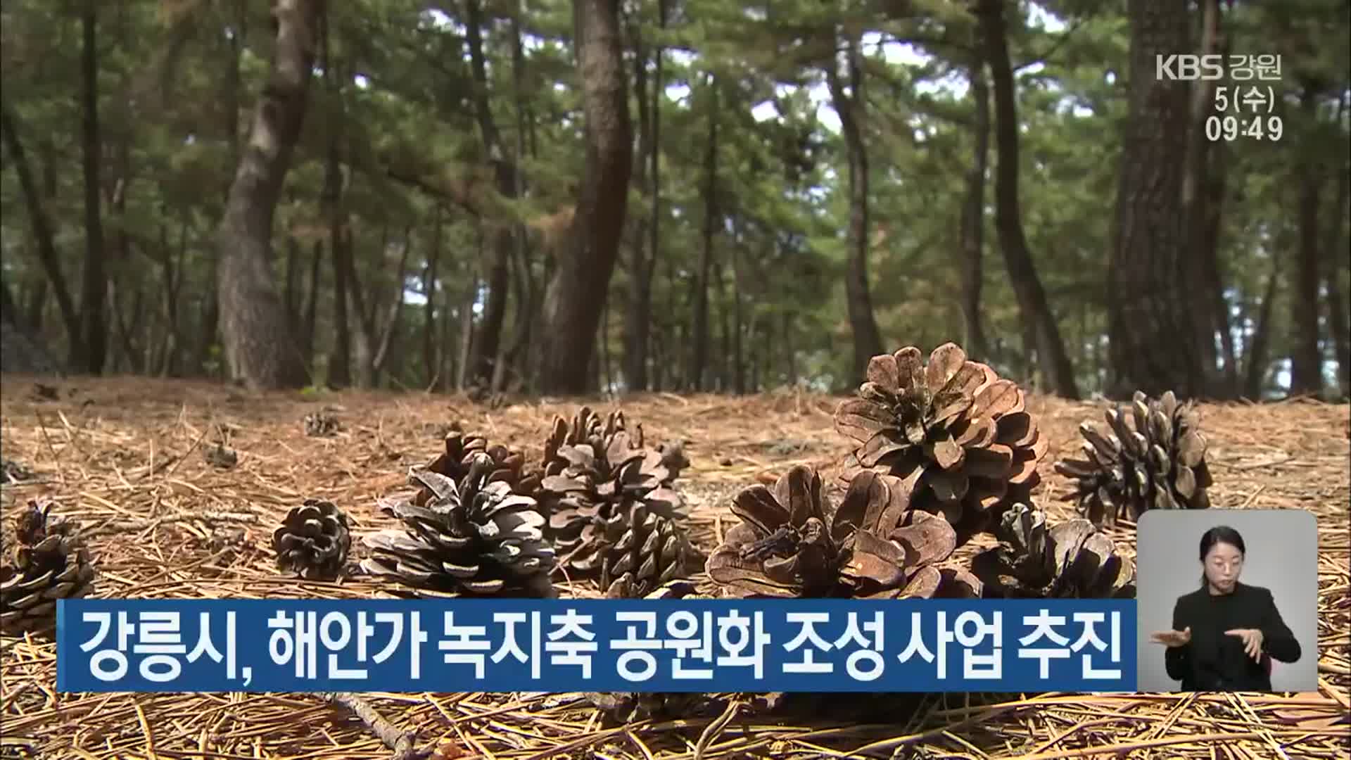 강릉시, 해안가 녹지축 공원화 조성 사업 추진