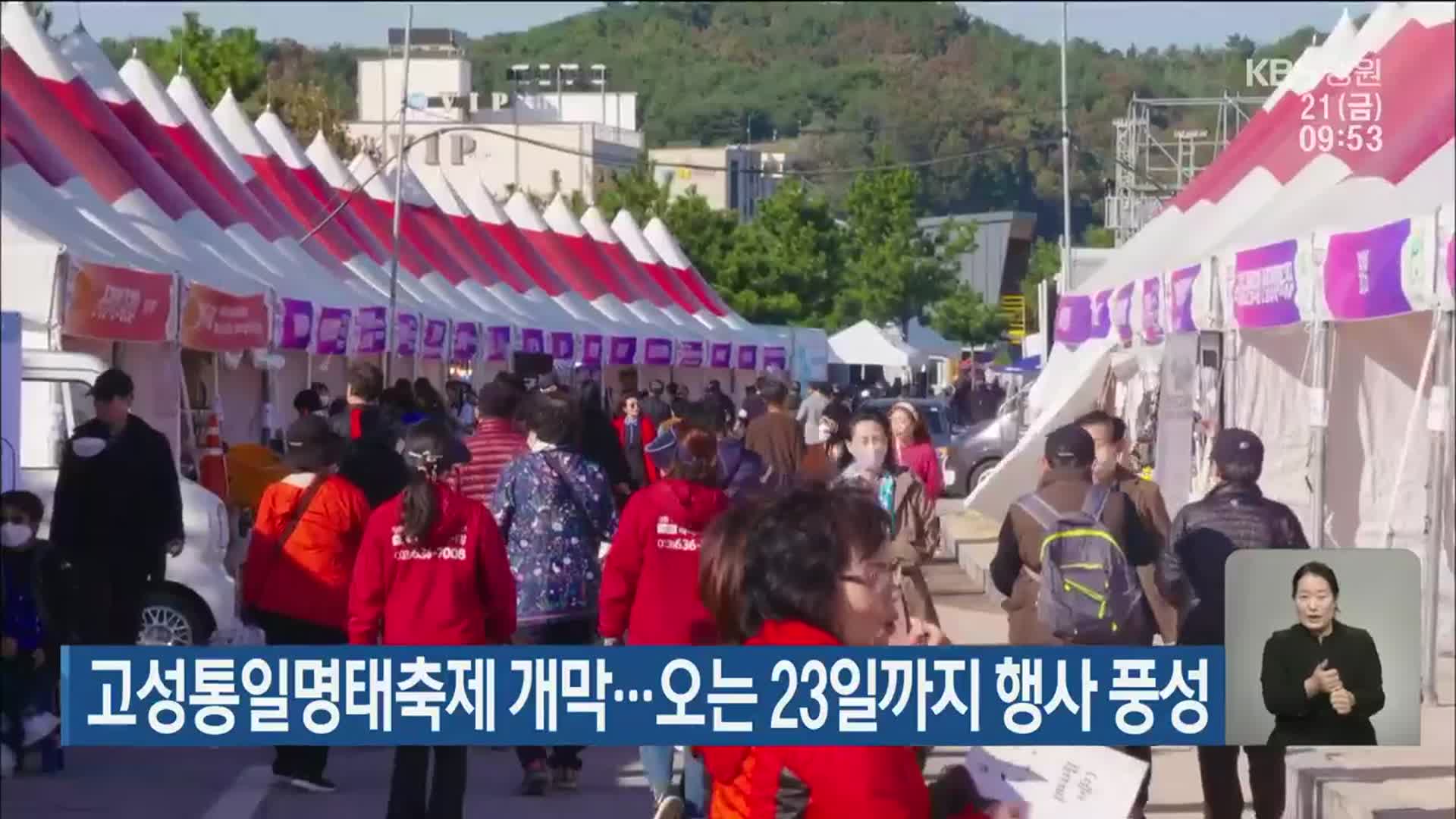 고성통일명태축제 개막…오는 23일까지 행사 풍성