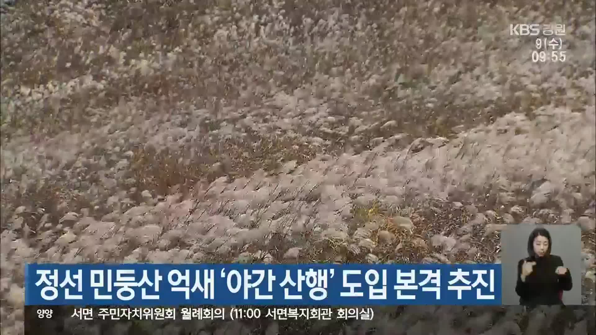 정선 민둥산 억새 ‘야간 산행’ 도입 본격 추진