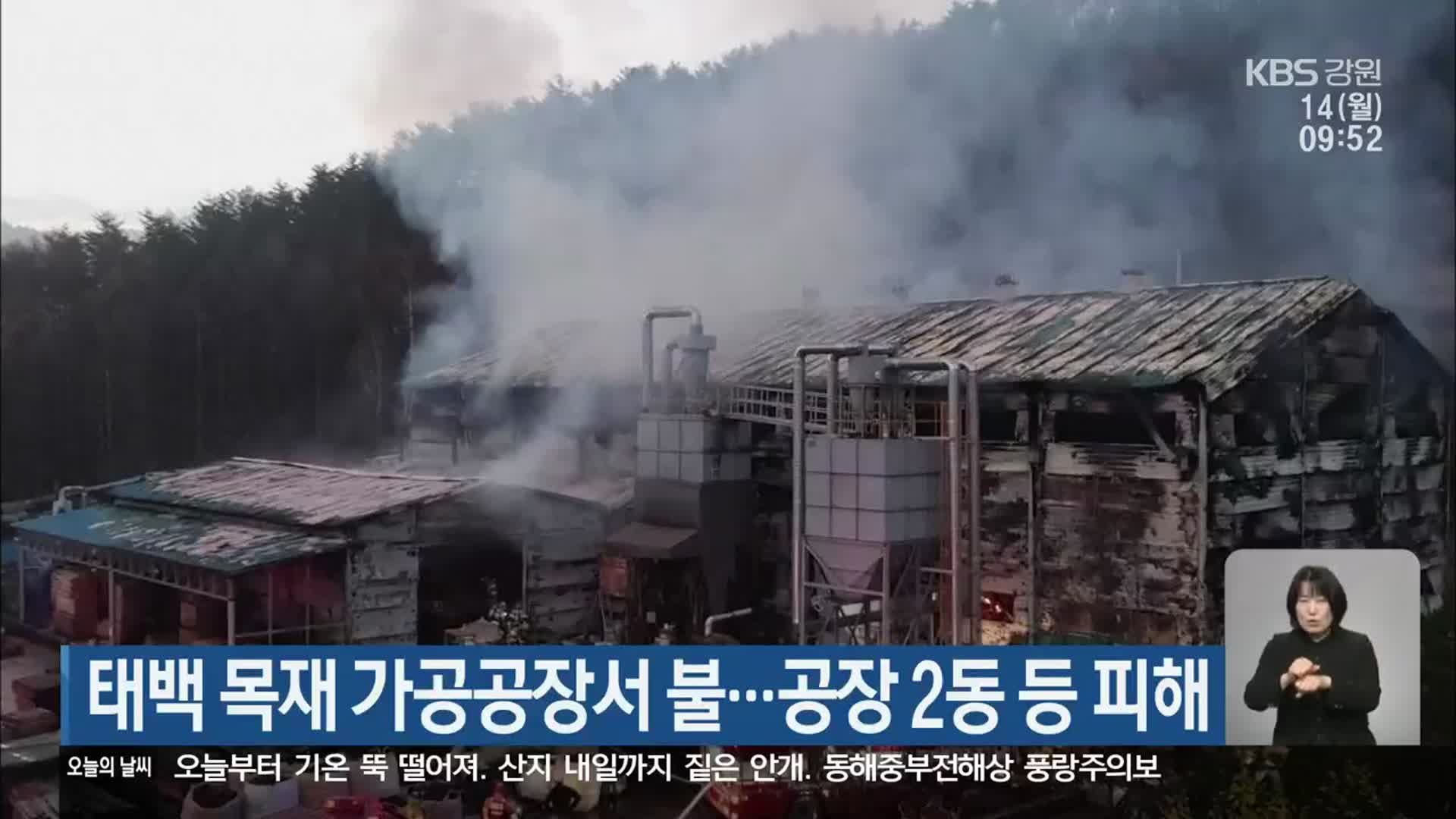 태백 목재 가공공장서 불…공장 2동 등 피해