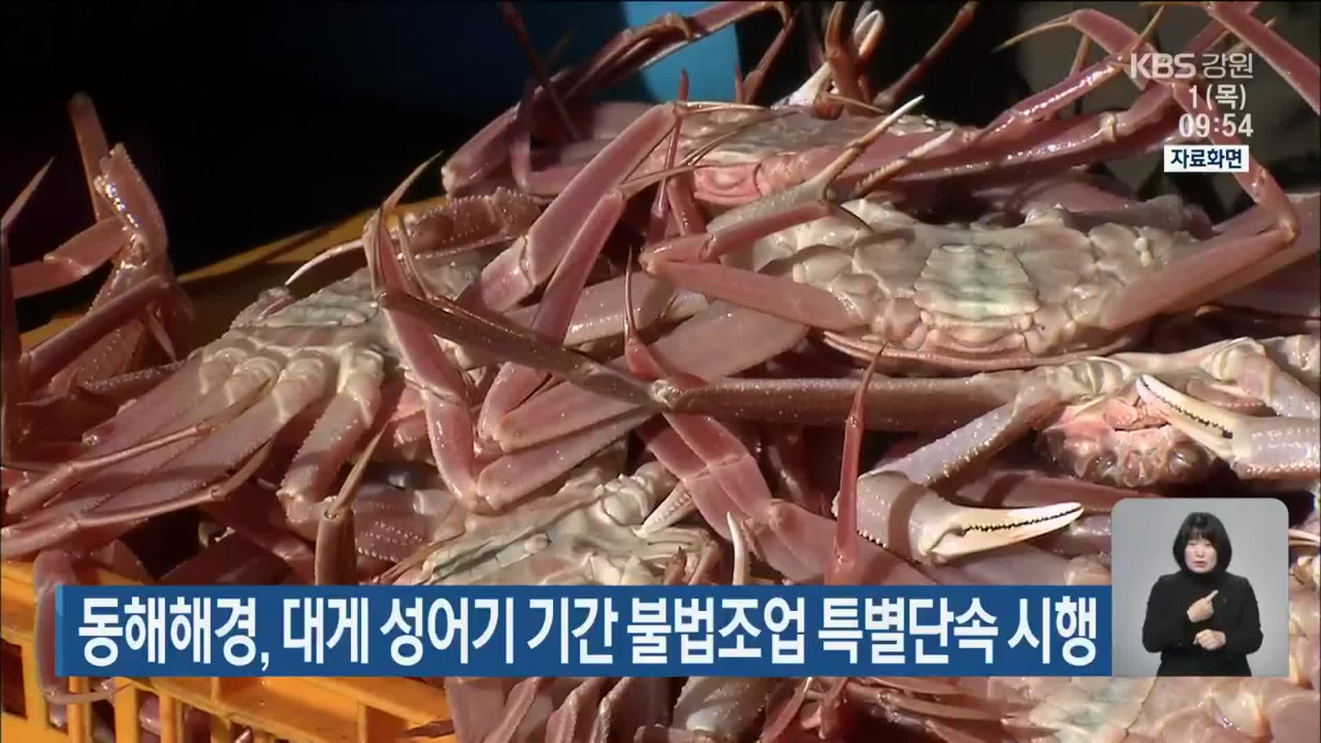 동해해경, 대게 성어기 기간 불법조업 특별단속 시행