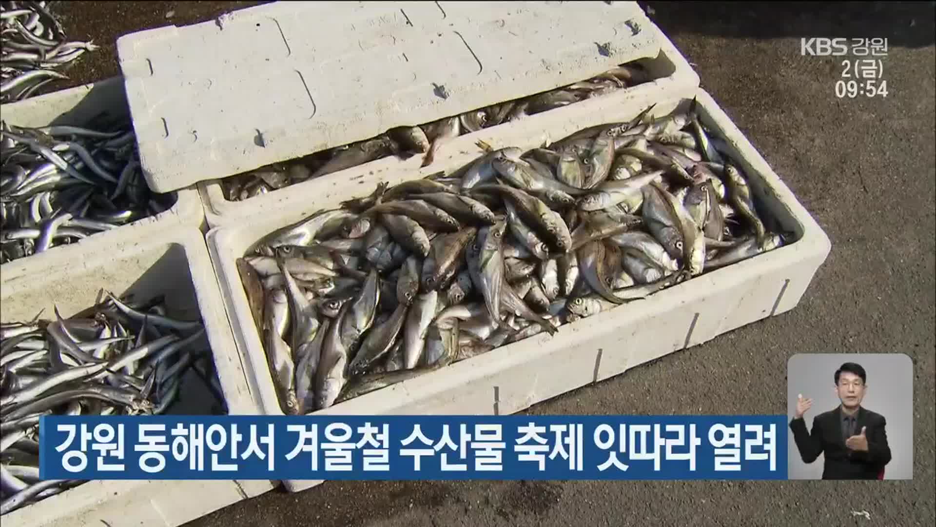 강원 동해안서 겨울철 수산물 축제 잇따라 열려