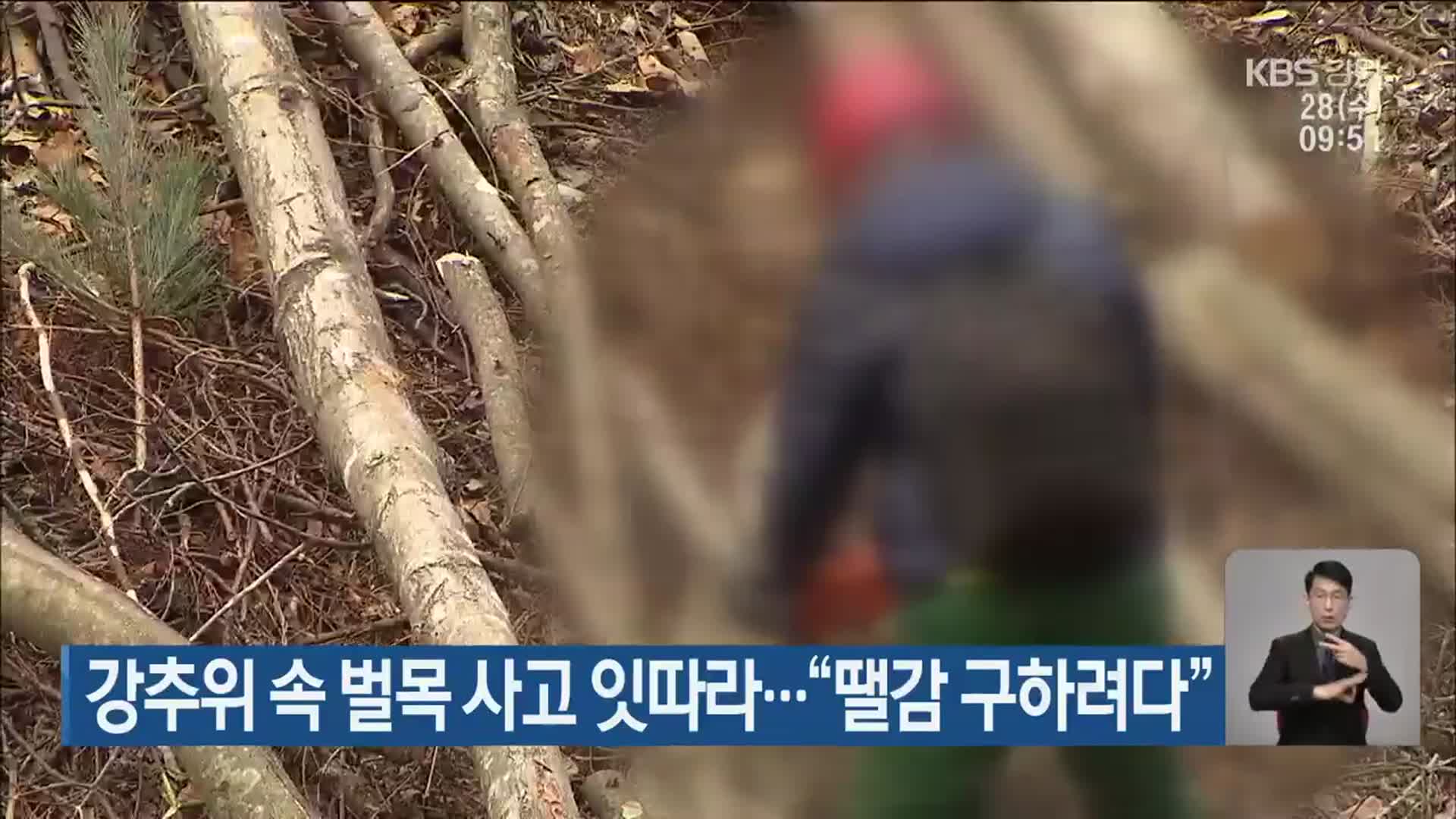 강추위 속 벌목 사고 잇따라…“땔감 구하려다”