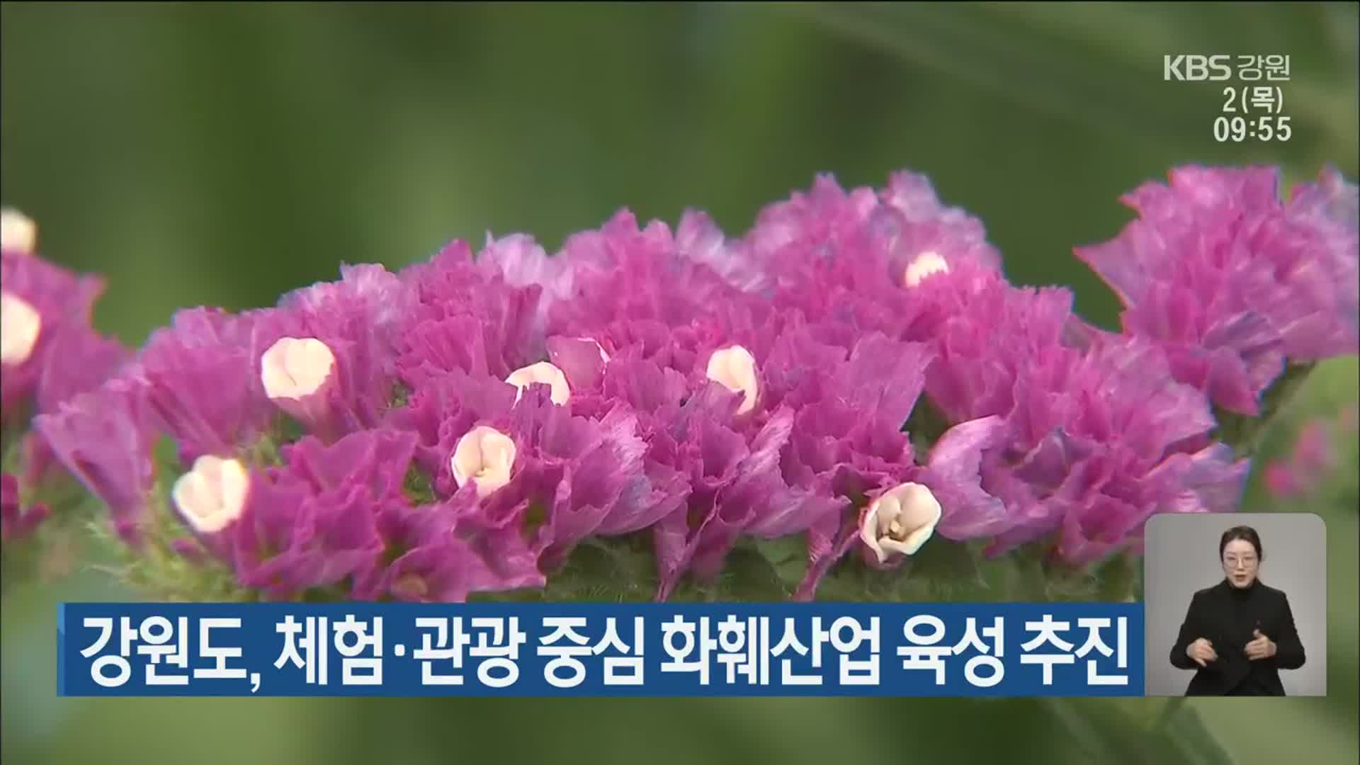 강원도, 체험·관광 중심 화훼산업 육성 추진