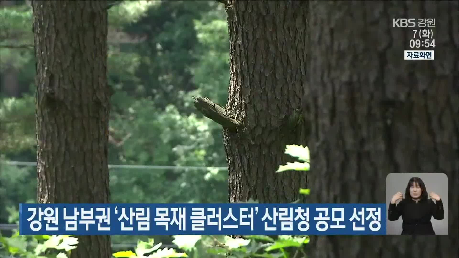 강원 남부권 ‘산림 목재 클러스터’ 산림청 공모 선정